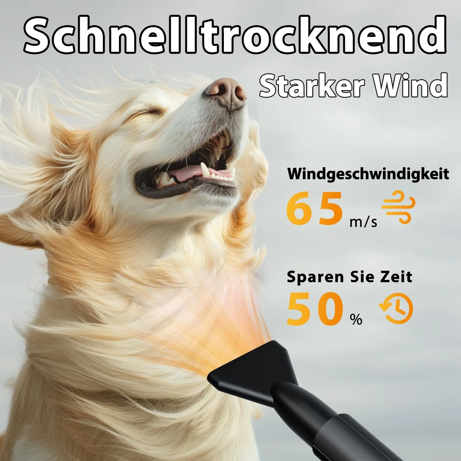 Trigrand Soffiatore per Cani 3000W, Velocità Regolabile, 4 Ugelli e Tubo Elastico - immagine 2