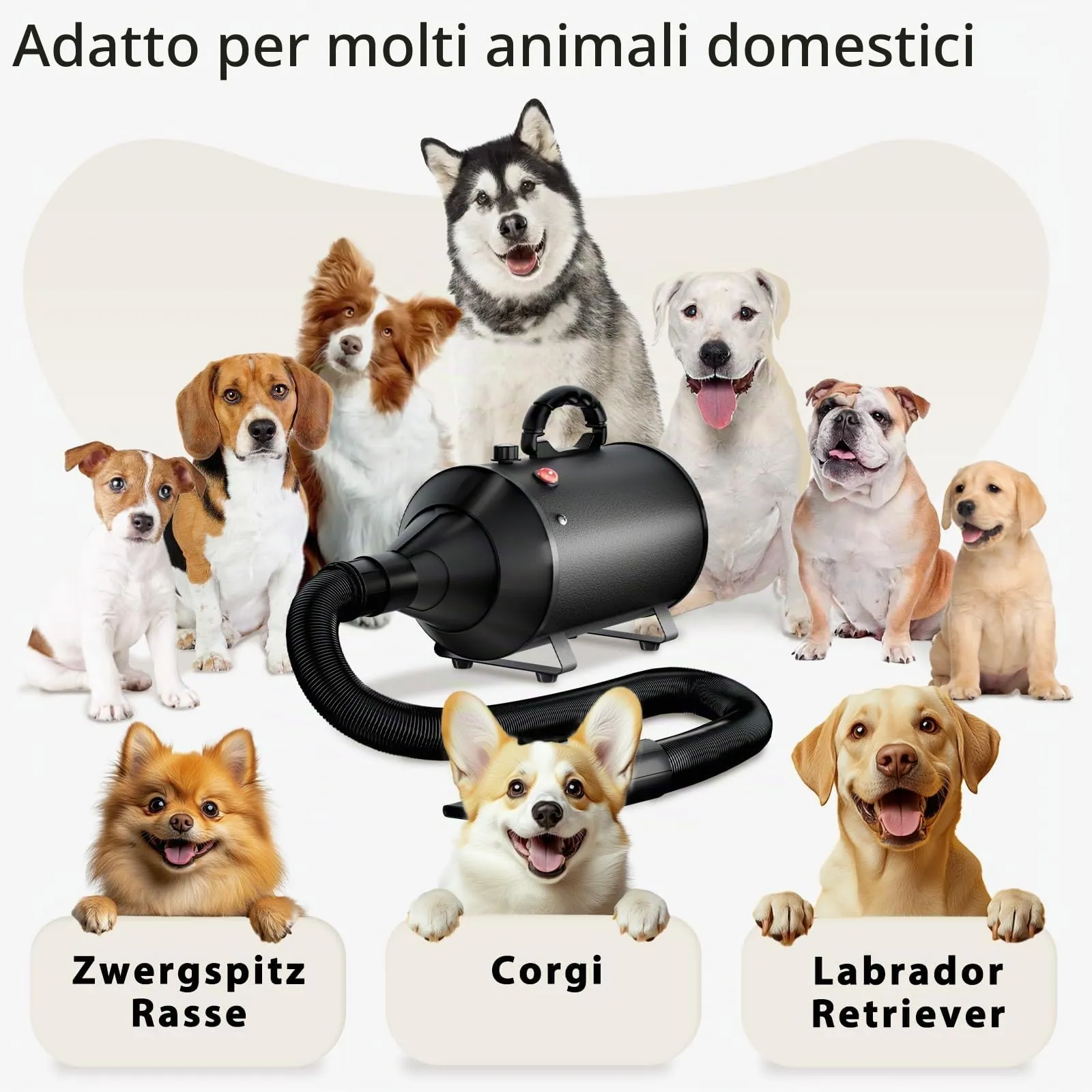 Trigrand Soffiatore per Cani 3000W, Velocità Regolabile, 4 Ugelli e Tubo Elastico - immagine 7
