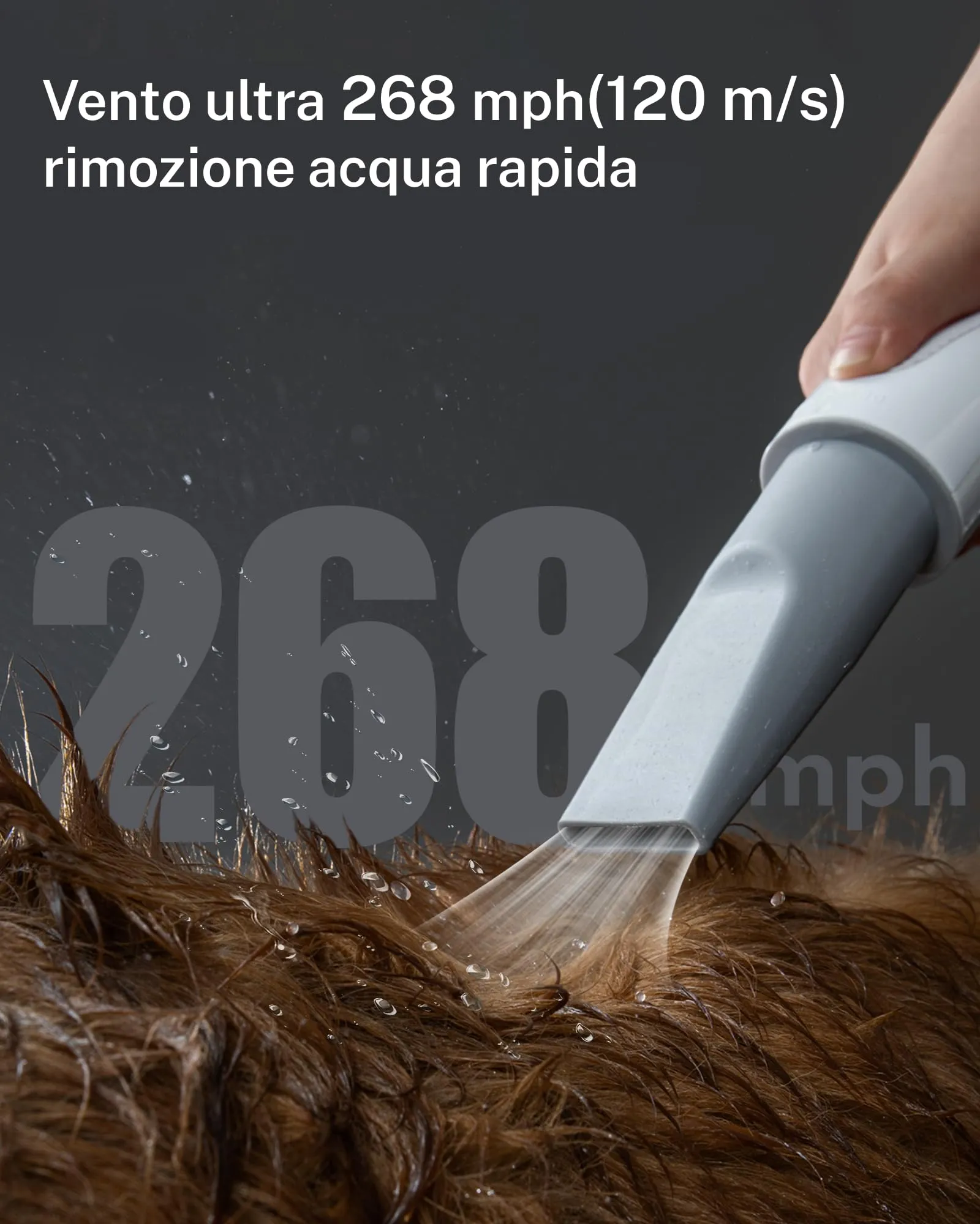 HomeRunPet Soffiatore per Cani, Asciugacapelli con 99 velocità, Controllo Temperatura e 3 Ugelli - immagine 3