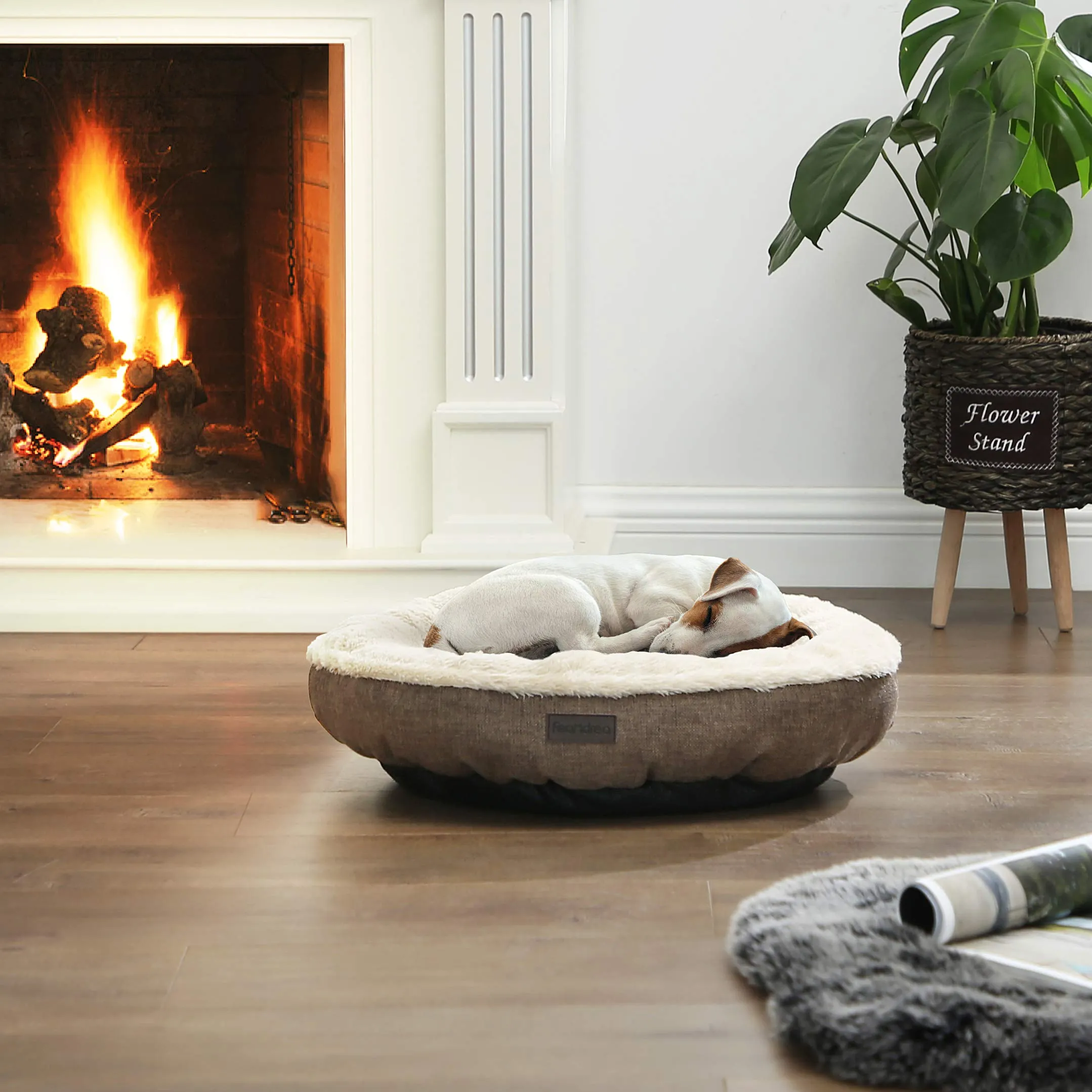 Feandrea Cuccia Divano per Cani e Gatti a Ciambella, 55 cm, Marrone PGW55C - immagine 2