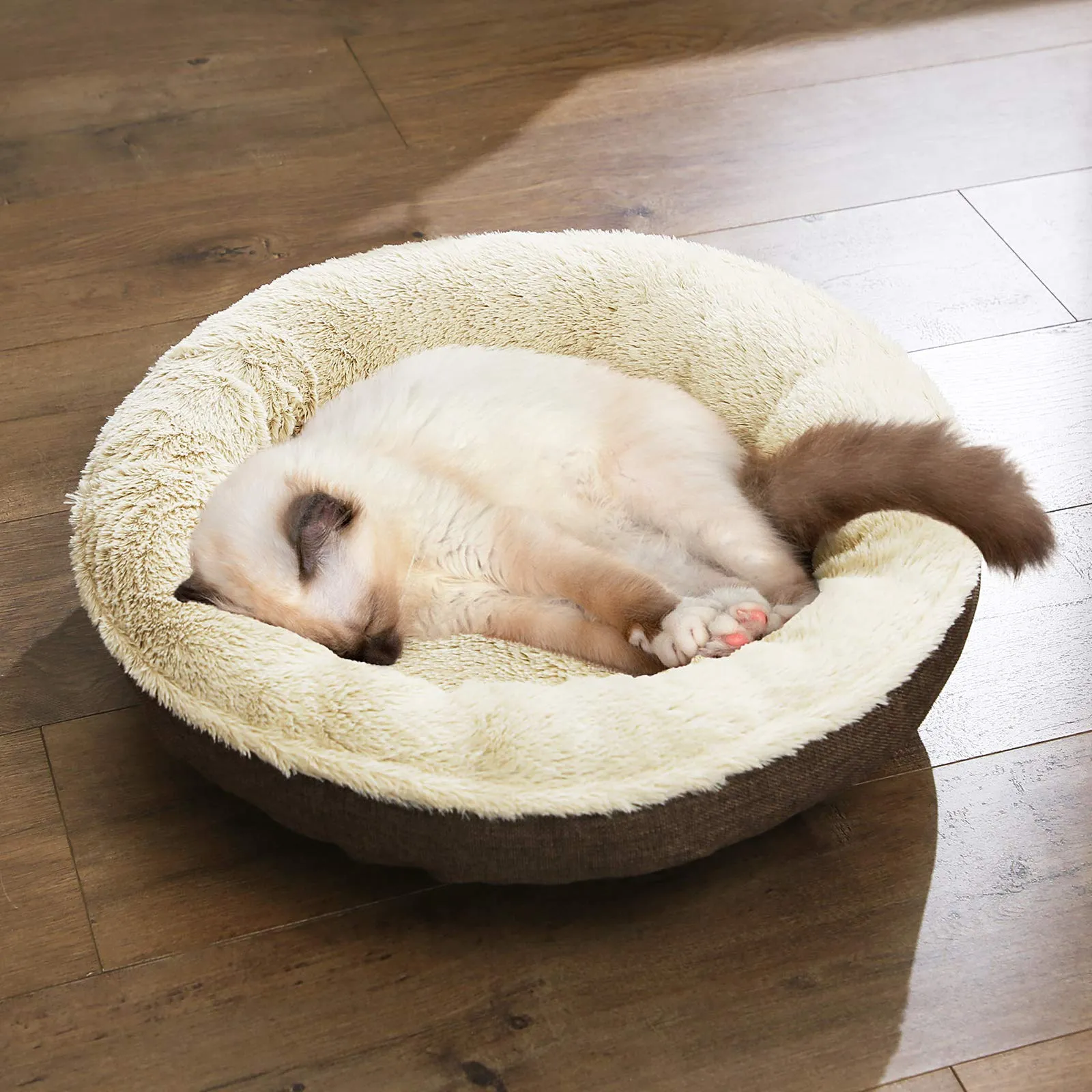Feandrea Cuccia Divano per Cani e Gatti a Ciambella, 55 cm, Marrone PGW55C - immagine 7