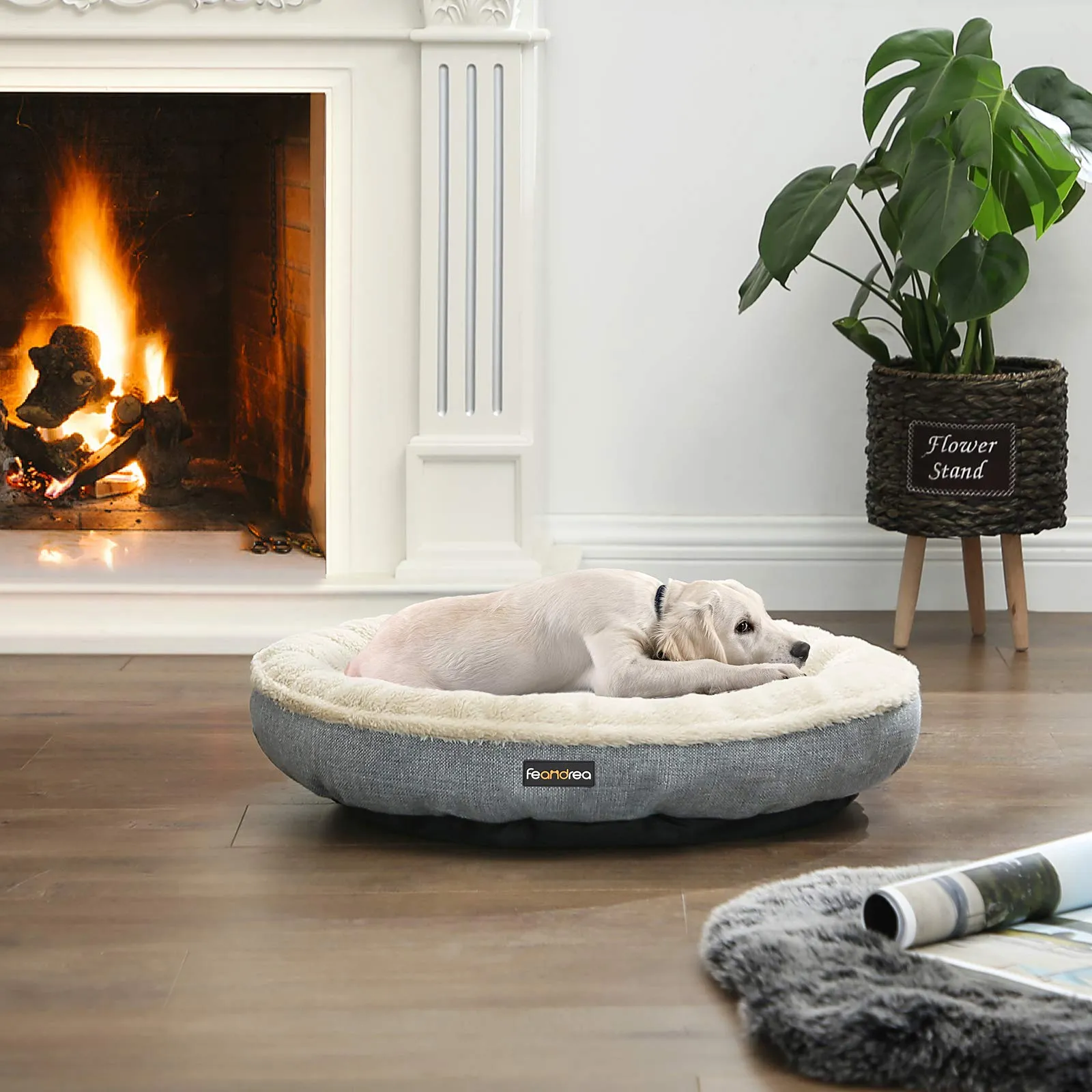 Feandrea Cuccia Divano per Cani e Gatti, Forma di Ciambella, 65 cm, Grigio PGW65G - immagine 2