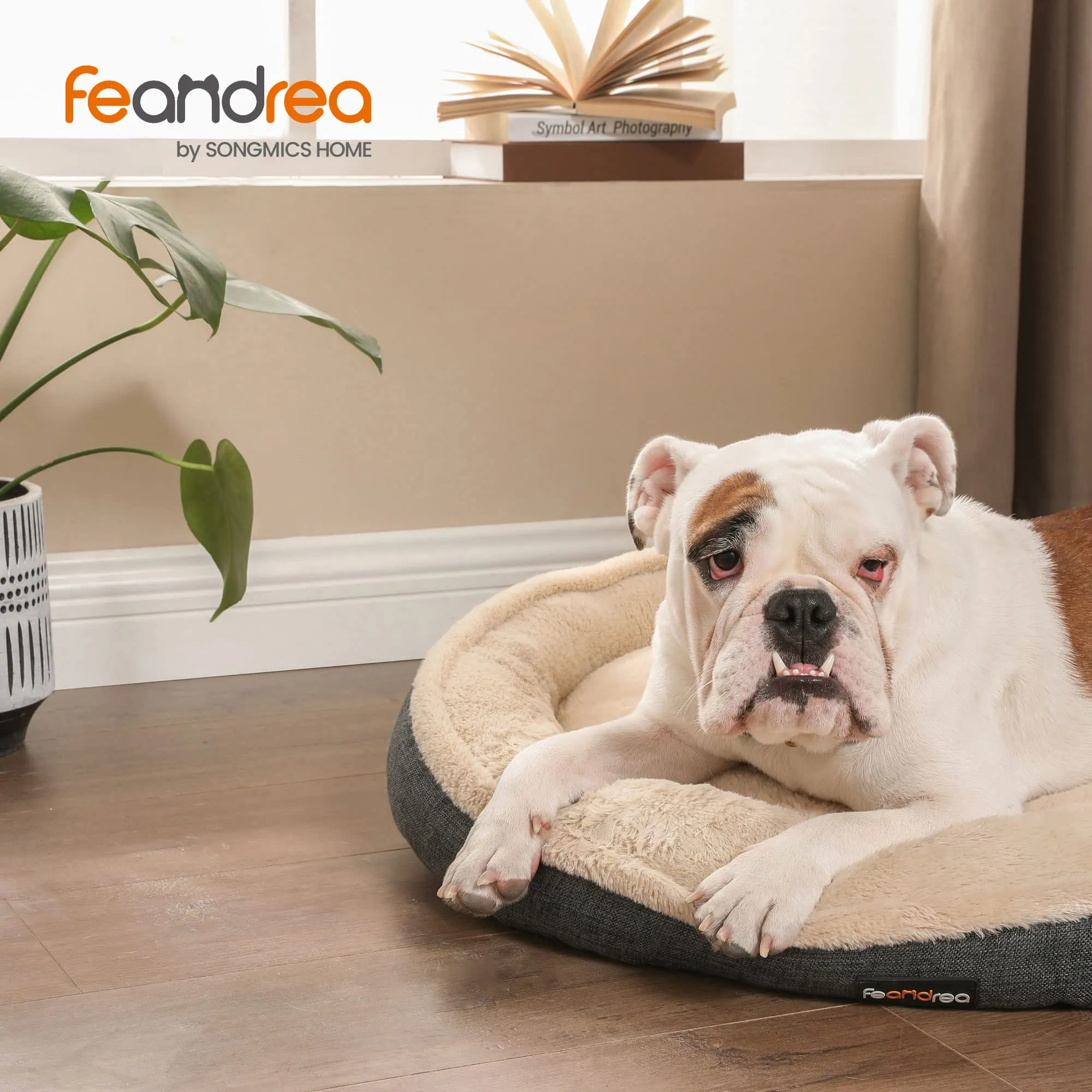 Feandrea Cuccia per Cani e Gatti, Forma di Ciambella, 75cm, Grigio Scuro PGW075G01 - immagine 2