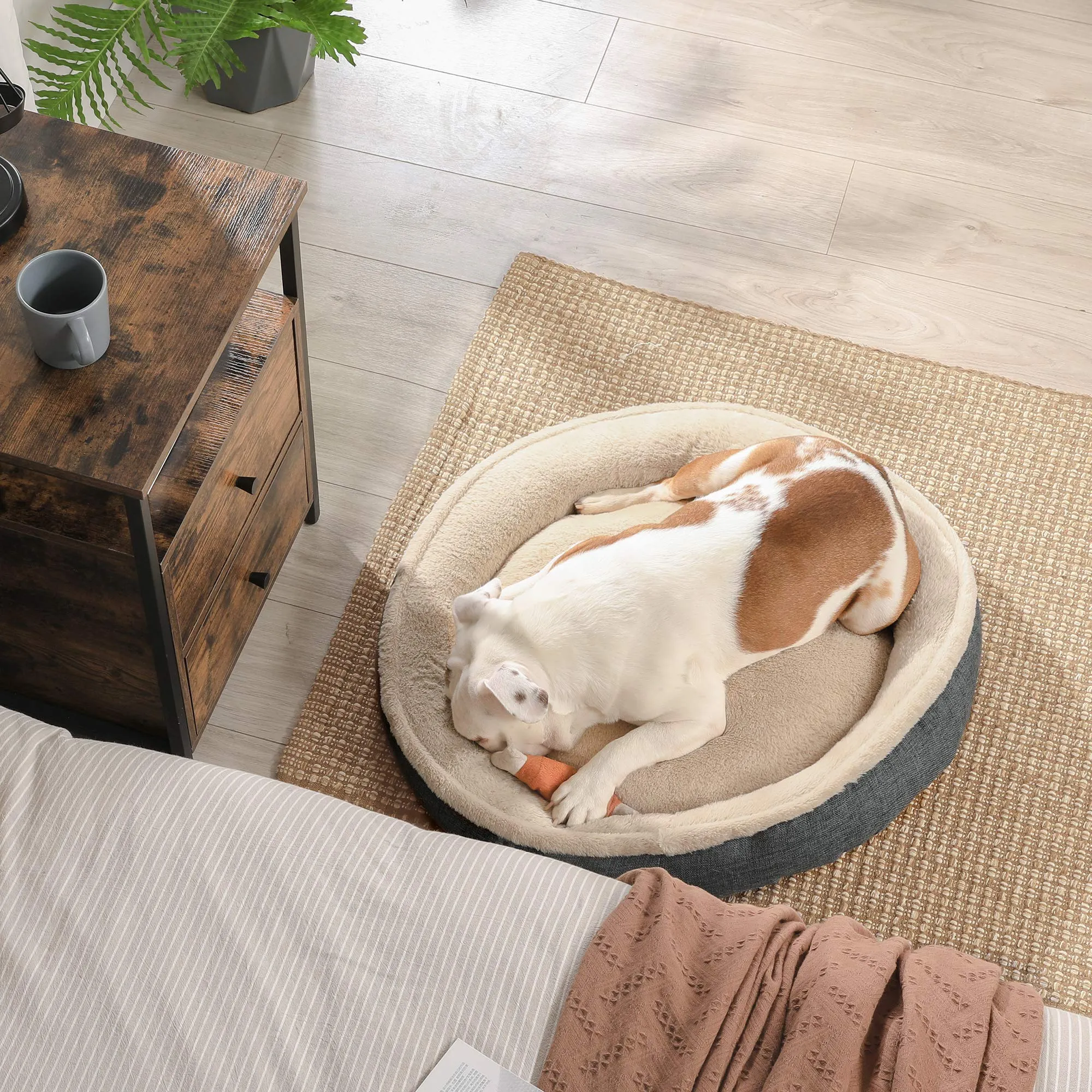 Feandrea Cuccia per Cani e Gatti, Forma di Ciambella, 75cm, Grigio Scuro PGW075G01 - immagine 3