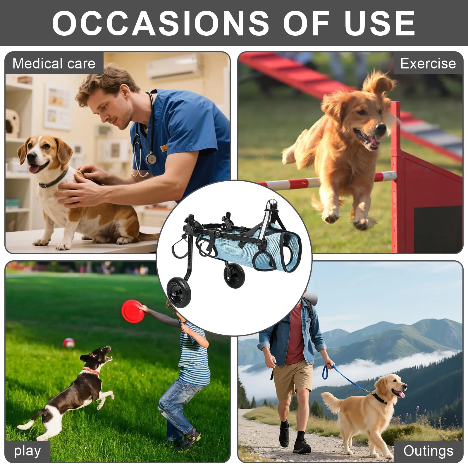 Hengrongshen Sedia a Rotelle Pieghevole per Cani e Gatti, Supporto Mobilità Regolabile per Zampe Posteriori, Taglia M (5-10 kg), Blu - immagine 7