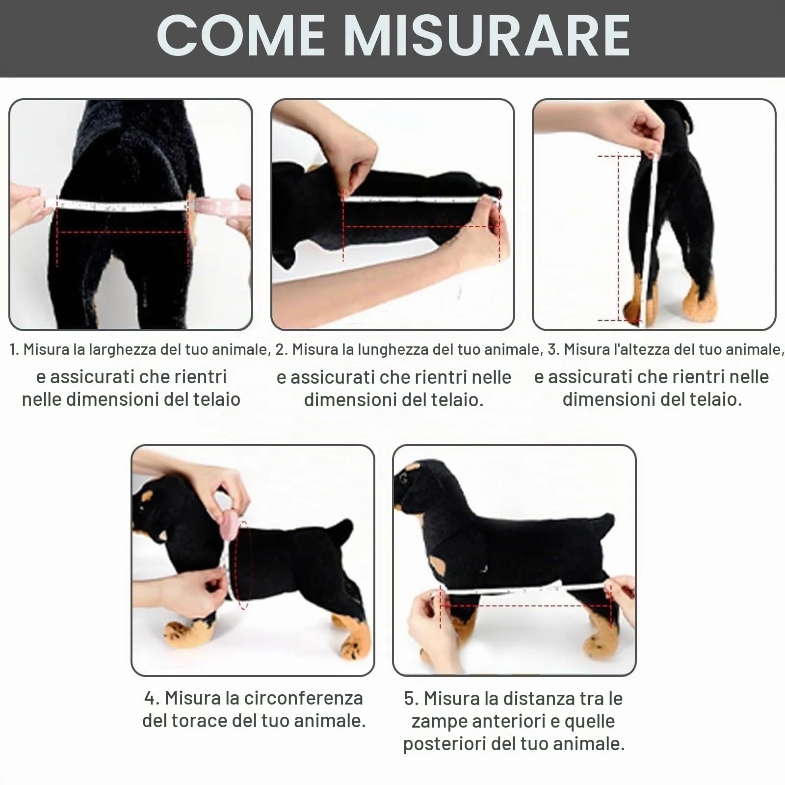 Hengrongshen Sedia a Rotelle Pieghevole per Cani di Piccola Taglia e Gatti, Carrello di Assistenza alla Mobilità Regolabile, XS (fino a 3,5 kg) - immagine 3