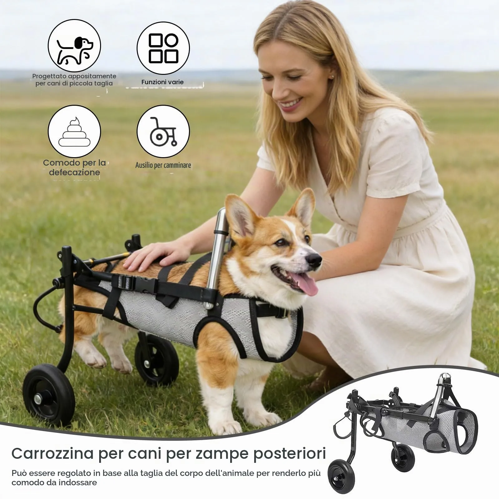 Hengrongshen Sedia a Rotelle Pieghevole per Cani di Piccola Taglia e Gatti, Carrello di Assistenza alla Mobilità Regolabile, XS (fino a 3,5 kg) - immagine 5