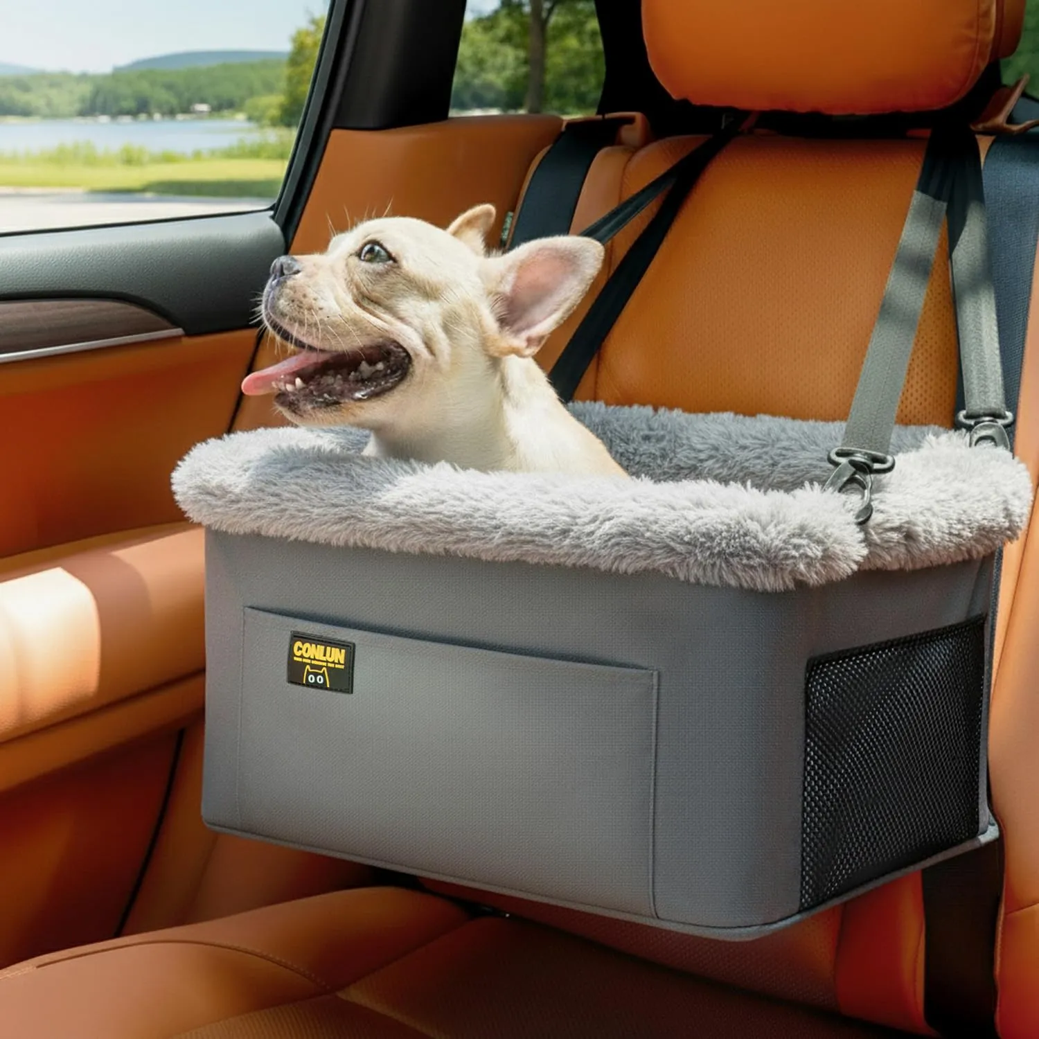 Conlun Seggiolino Auto per Cani e Gatti Piccola Taglia, Telaio in Acciaio, fino a 9 kg (40x33x22 cm) - immagine 1