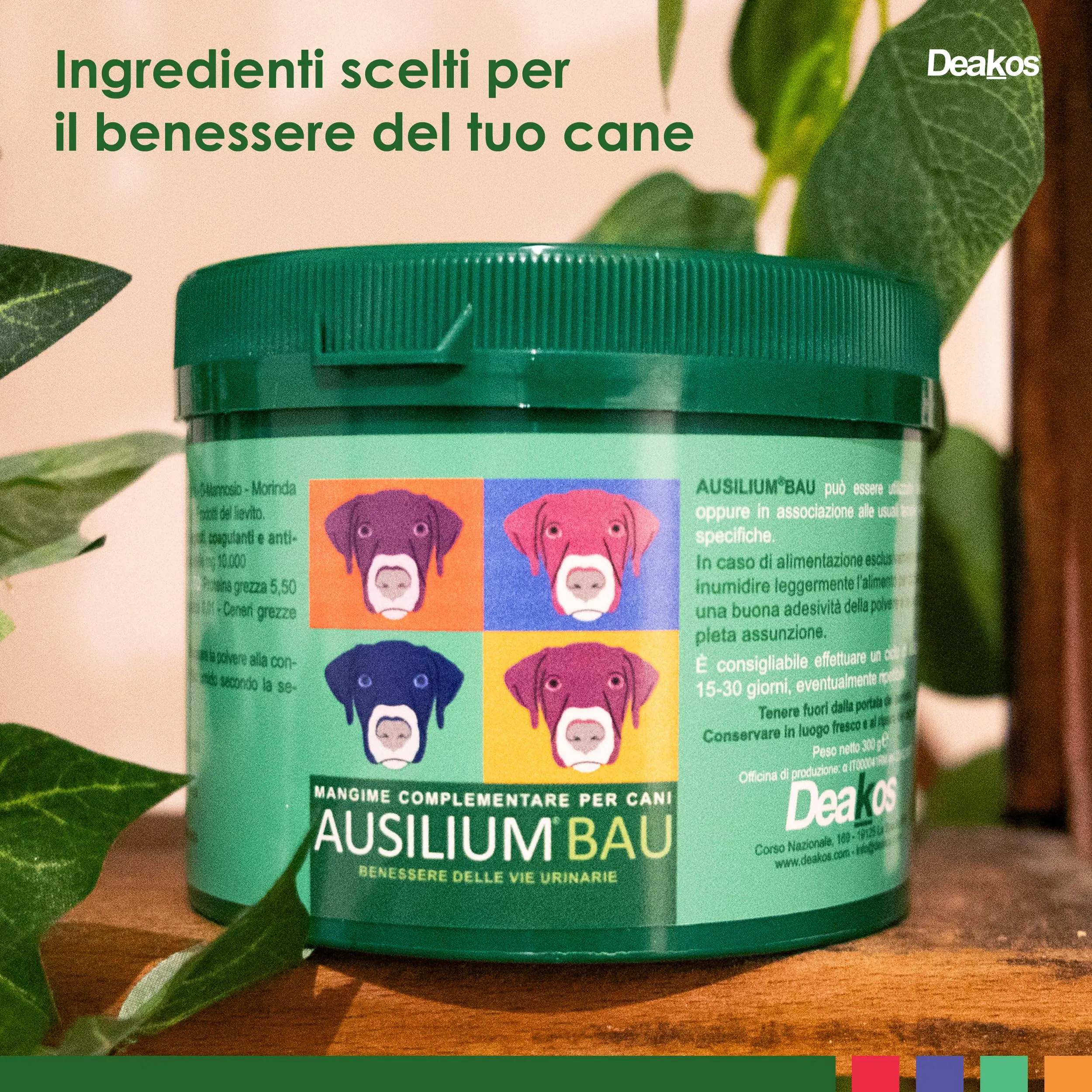 Deakos Ausilium Bau in Polvere 300g - Integratore per Vie Urinarie Cane con D-Mannosio e Morinda Citrifolia - immagine 4