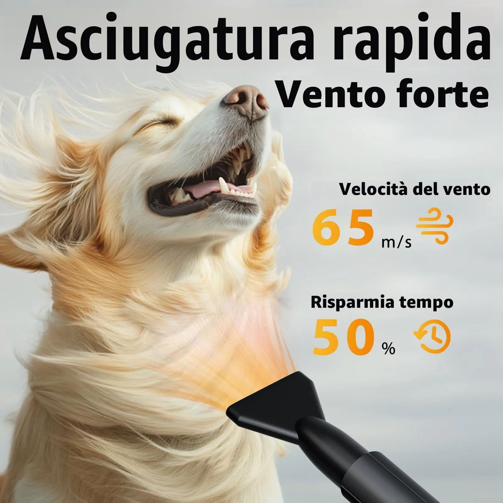 Trigrand Soffiatore per Cani 3000W, velocità regolabile, 4 ugelli e tubo elastico - immagine 2