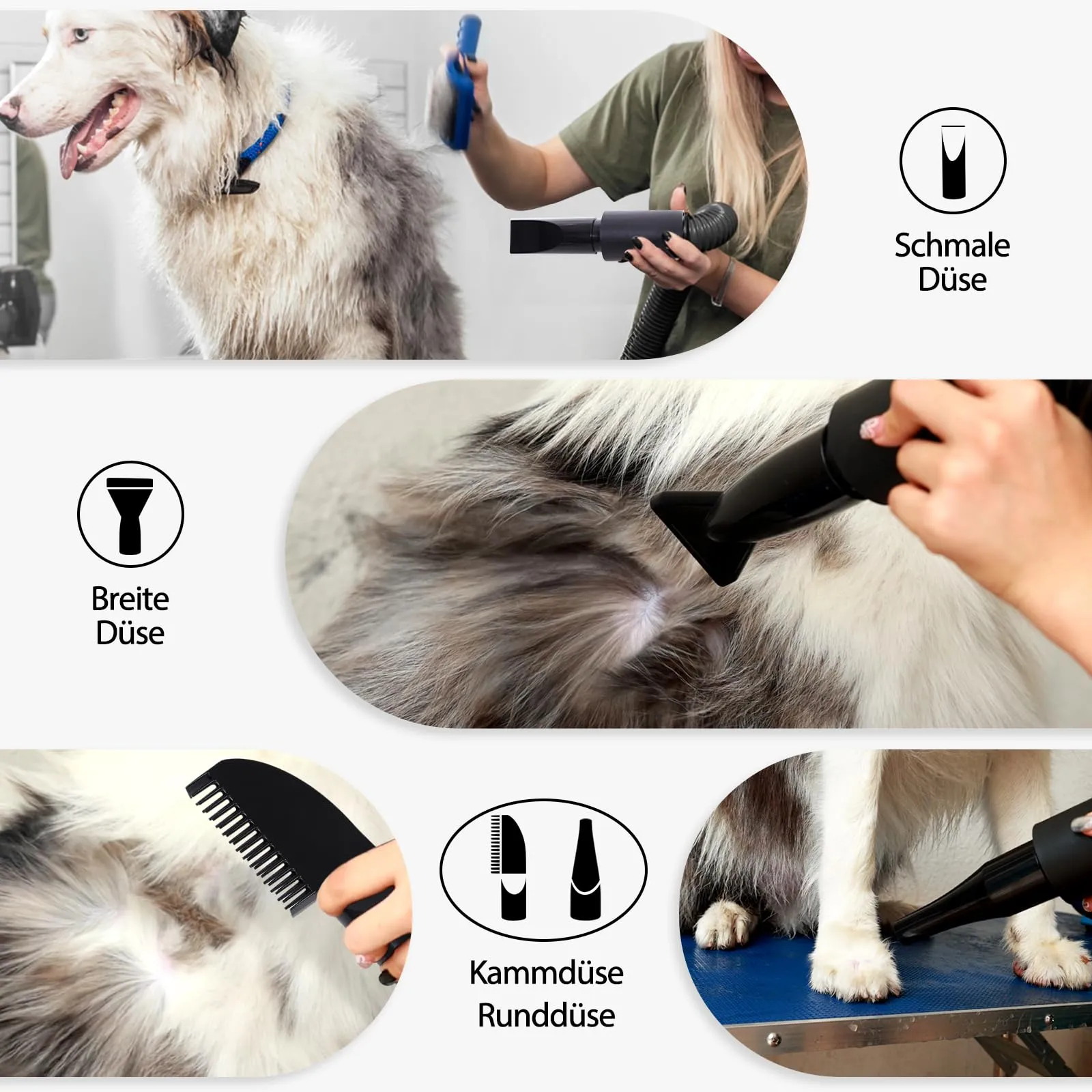 Trigrand Soffiatore per Cani 3000W, velocità regolabile, 4 ugelli e tubo elastico - immagine 4