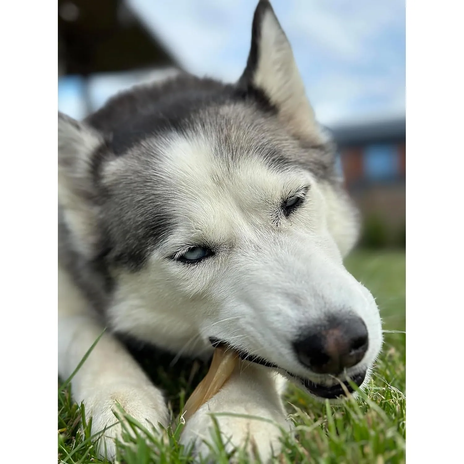 Bonya Smile Colli di Tacchino per Cani, 1 kg - immagine 4