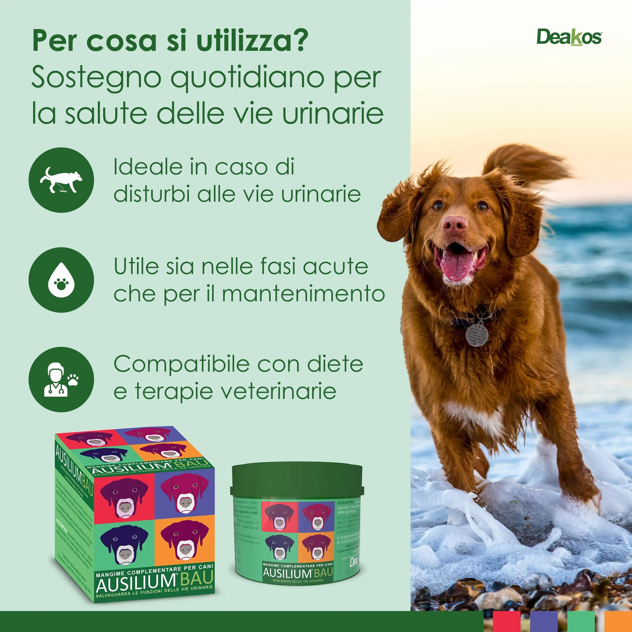 Deakos Ausilium Bau in Polvere 100g - Integratore per Benessere Vie Urinarie Cane con D-Mannosio e Morinda Citrifolia - immagine 3