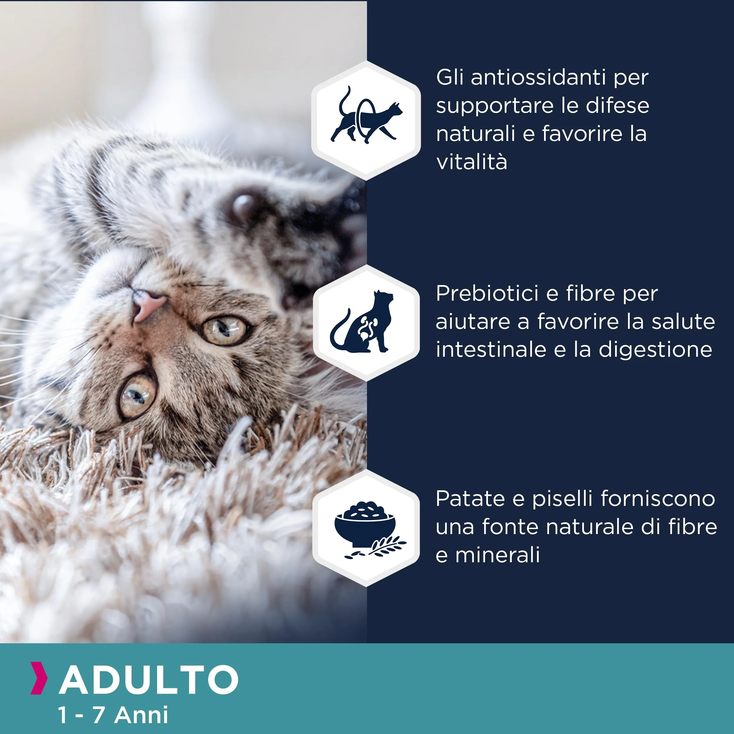 Eukanuba Grain Free Crocchette per gatti con salmone, 10 kg - immagine 4