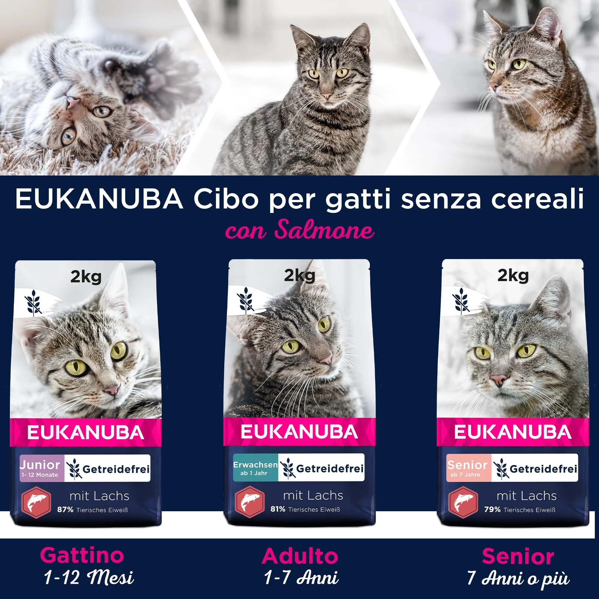 Eukanuba Grain Free Crocchette per gattini con salmone, 2 kg - immagine 5