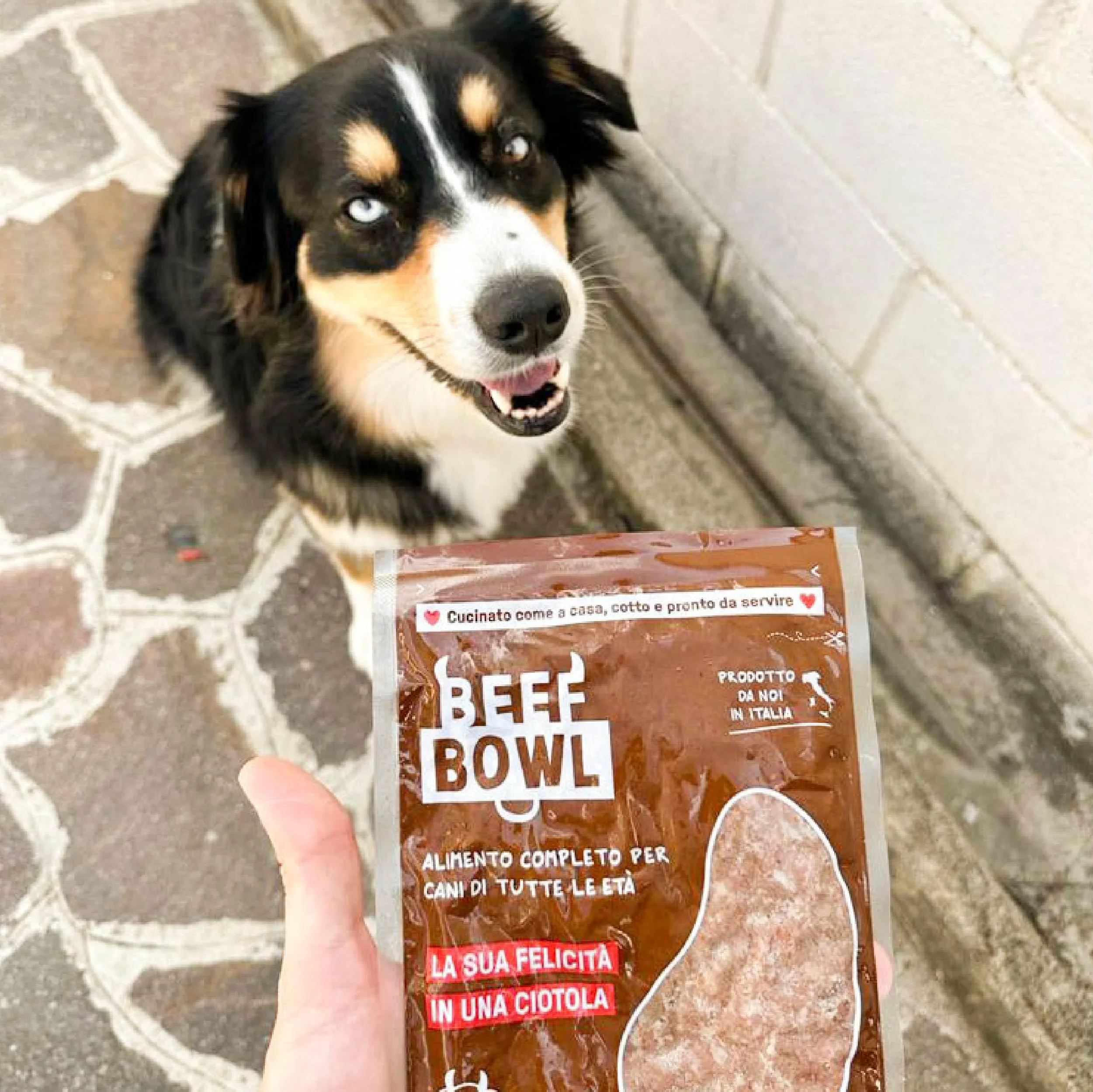 Dog Heroes Cibo Umido Congelato per Cani Manzo 12x650g - immagine 8