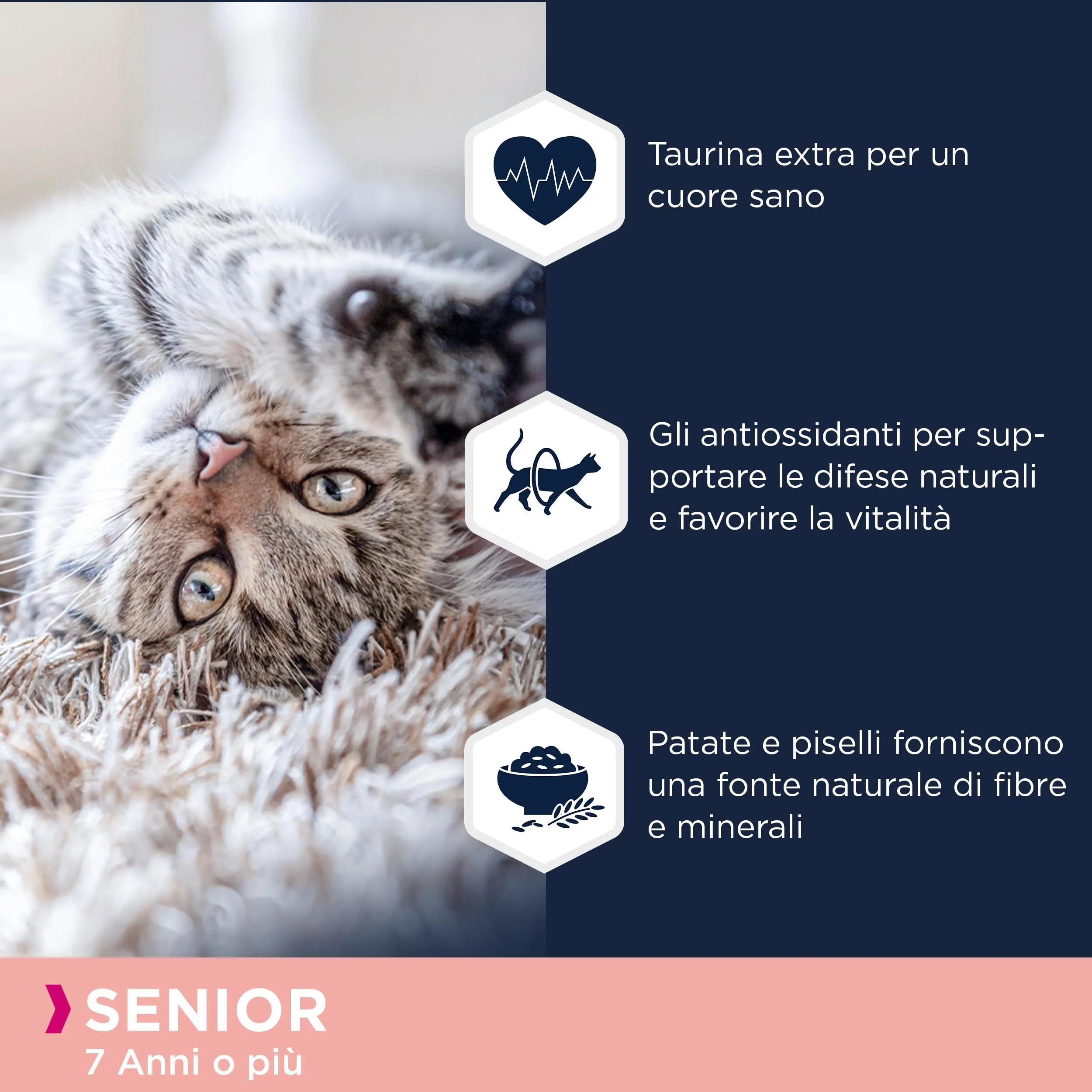 Eukanuba Grain Free Crocchette per Gatti Anziani con Salmone, 2 kg - immagine 4