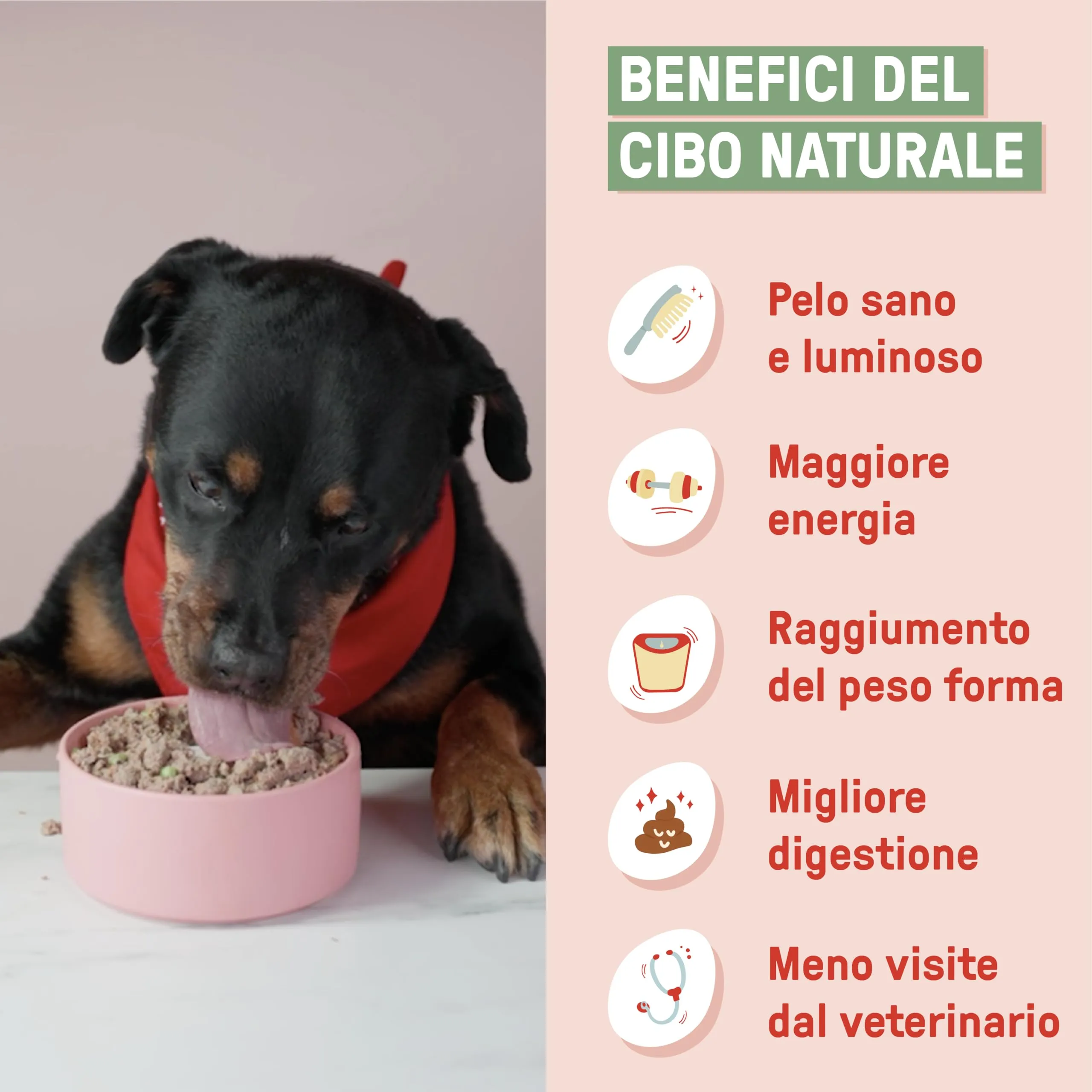 Dog Heroes Cibo Umido Congelato per Cani Maiale 12x320g - immagine 7