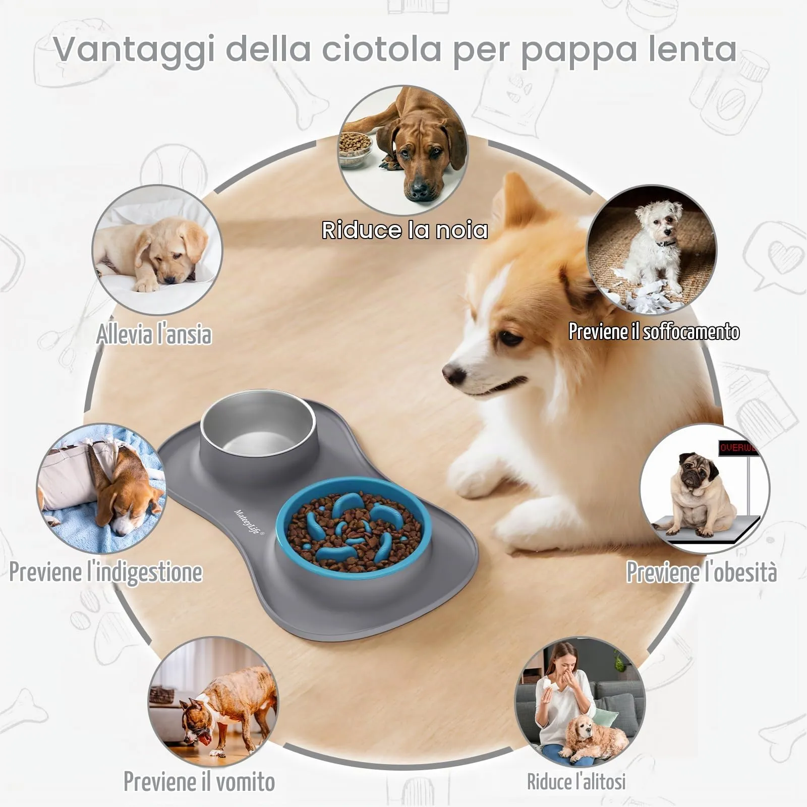 MateeyLife Set Ciotole 3 in 1 per Cani e Gatti in Acciaio Inossidabile con Tappetino in Silicone, 43.7 × 25.9 cm - immagine 3