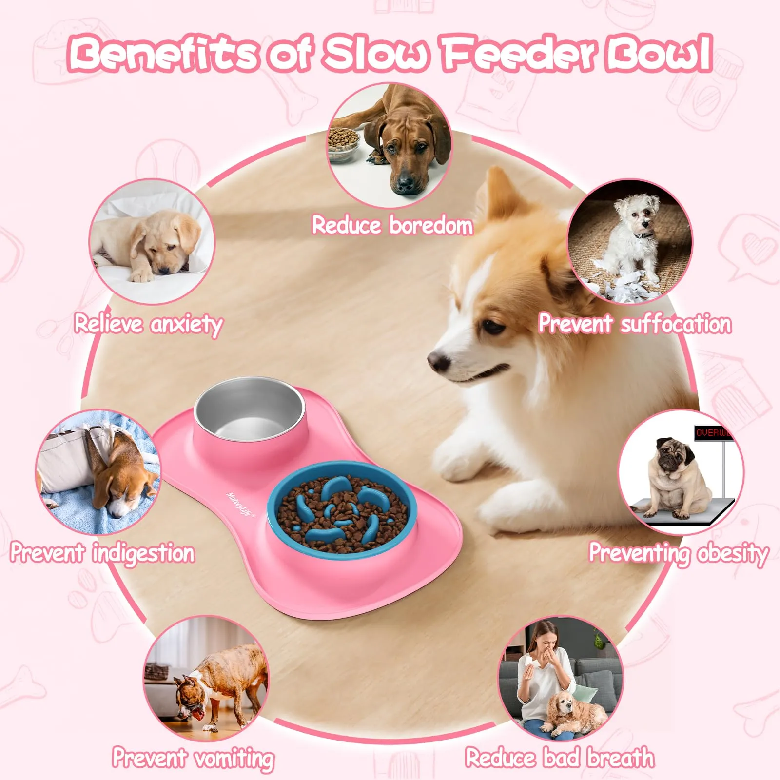 MateeyLife Set Ciotole per Cani e Gatti 3 in 1 in Acciaio Inossidabile con Tappetino in Silicone e Ciotola Anti-Ingozzamento, 43.7 × 25.9 cm - immagine 3