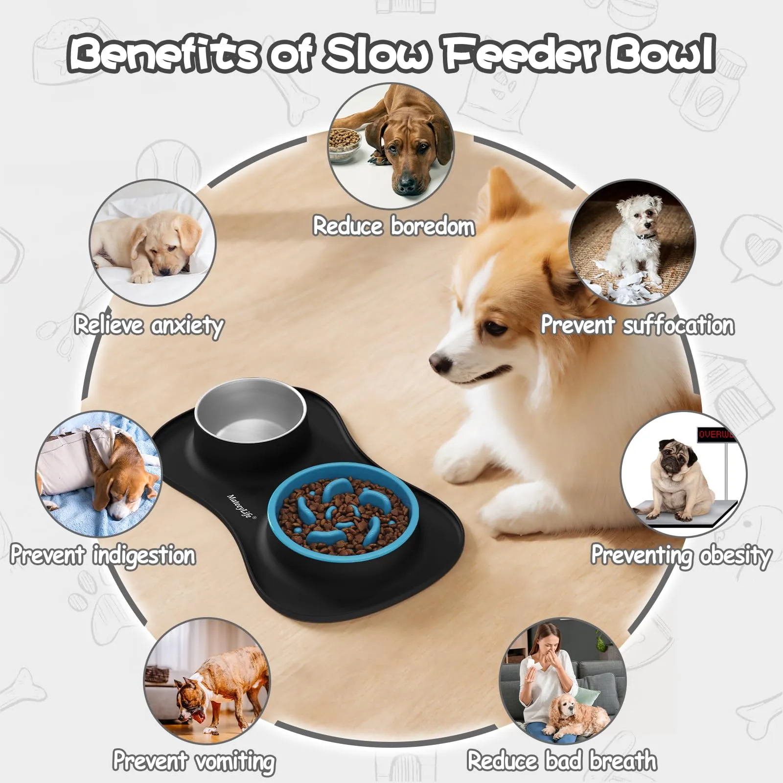 MateeyLife Set Ciotole per Cani e Gatti 3 in 1 in Acciaio Inossidabile con Tappetino in Silicone, 51.5 × 30.7 cm - immagine 3