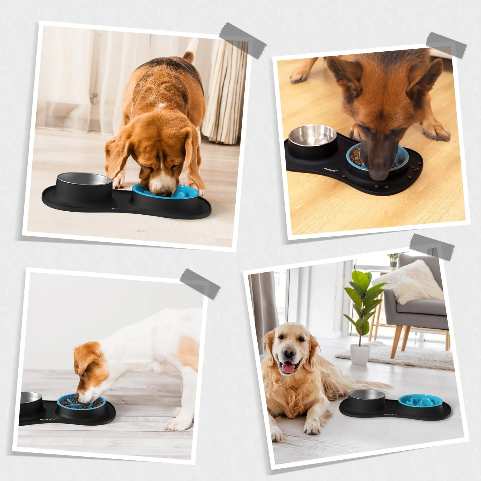 MateeyLife Set Ciotole per Cani e Gatti 3 in 1 in Acciaio Inossidabile con Tappetino in Silicone, 51.5 × 30.7 cm - immagine 8