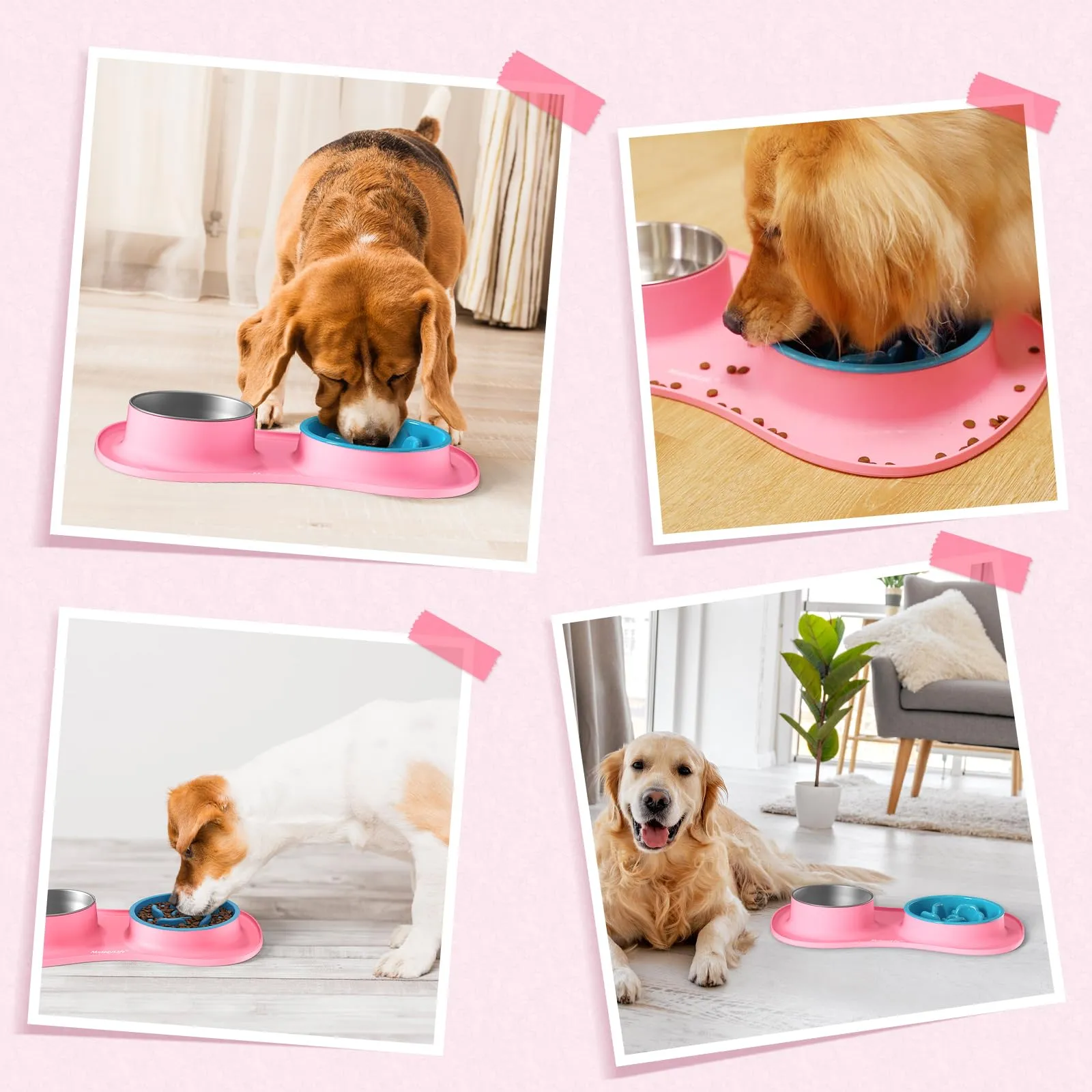MateeyLife Set Ciotole 3 in 1 per Cani e Gatti in Acciaio Inossidabile con Ciotola Anti-Ingozzamento e Tappetino in Silicone, 51.5 × 30.7 cm - immagine 8