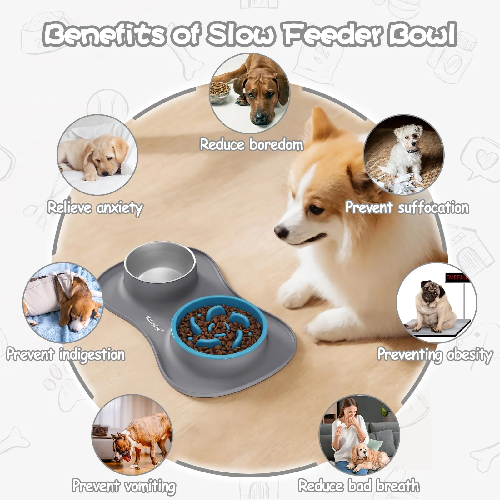 MateeyLife Set Ciotole 3 in 1 per Cani e Gatti in Acciaio Inossidabile con Ciotola Anti-Ingozzamento e Tappetino in Silicone, 51.5 × 30.7 cm - immagine 3