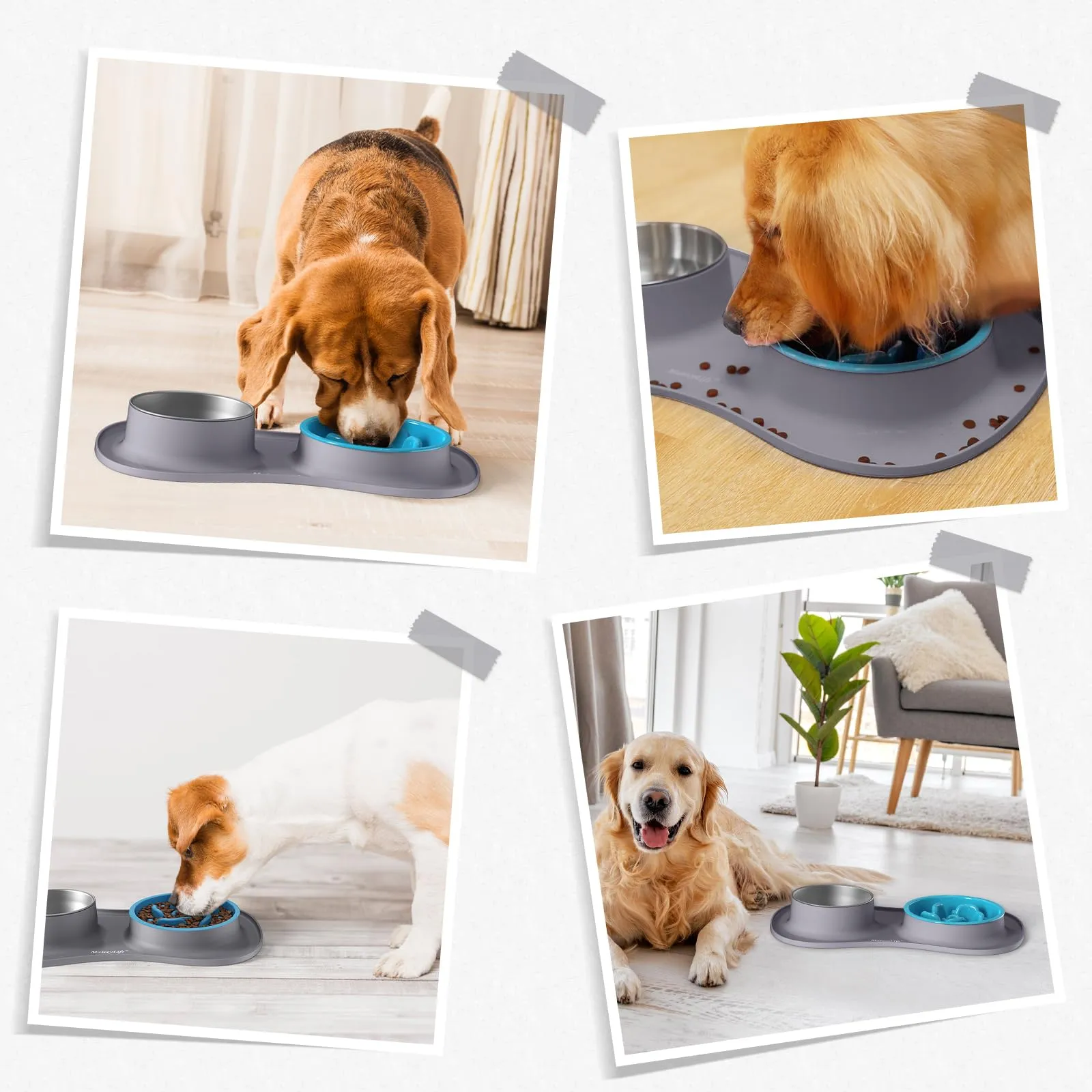 MateeyLife Set Ciotole 3 in 1 per Cani e Gatti in Acciaio Inossidabile con Ciotola Anti-Ingozzamento e Tappetino in Silicone, 51.5 × 30.7 cm - immagine 8