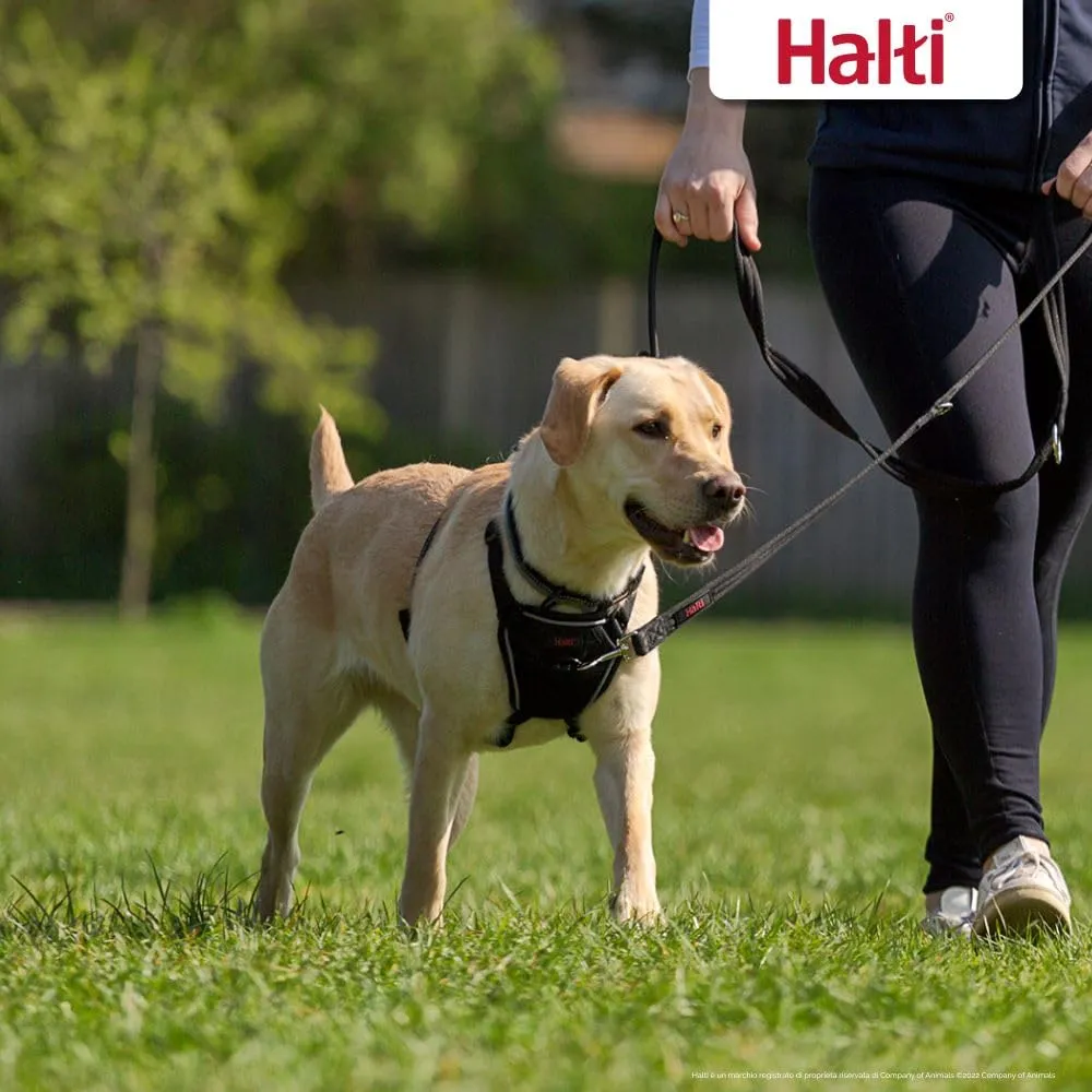 Halti Pettorina Anti-trazione Catarifrangente per Cani Taglia M, Nero - immagine 5