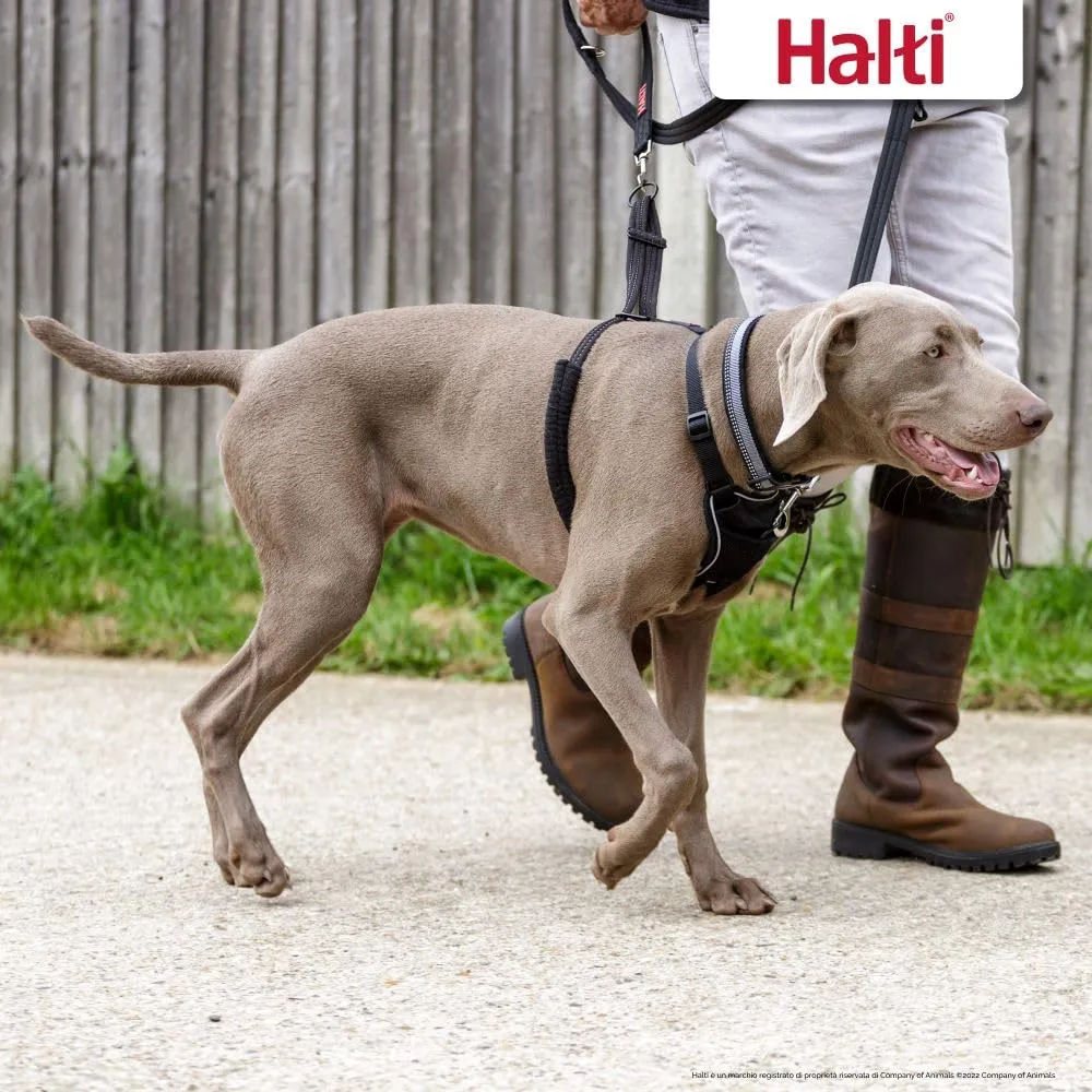 Halti Pettorina Anti-trazione per Cani, Taglia L, Nero - immagine 5