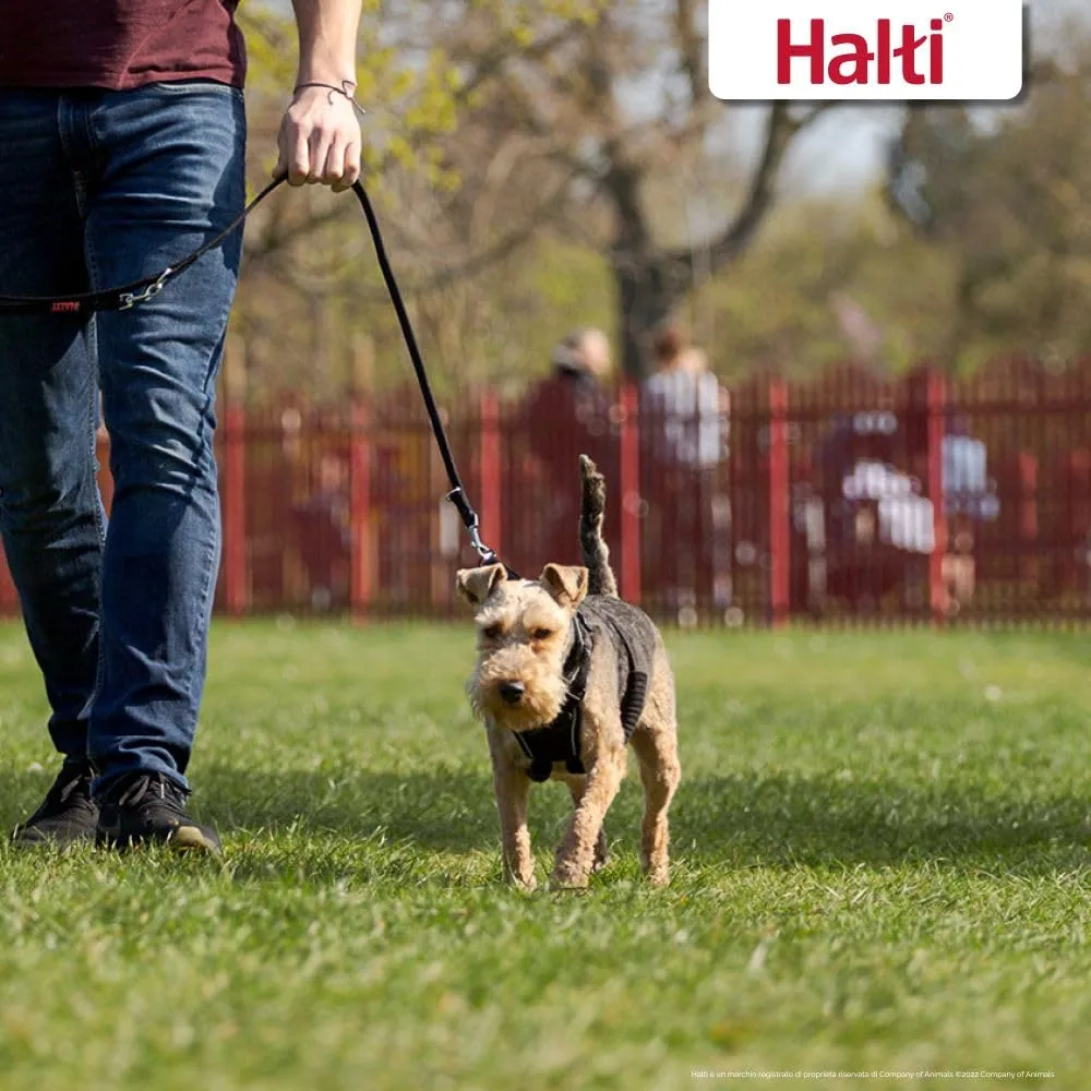 Pettorina anti-trazione Halti per cani, Taglia S, Nero - immagine 5