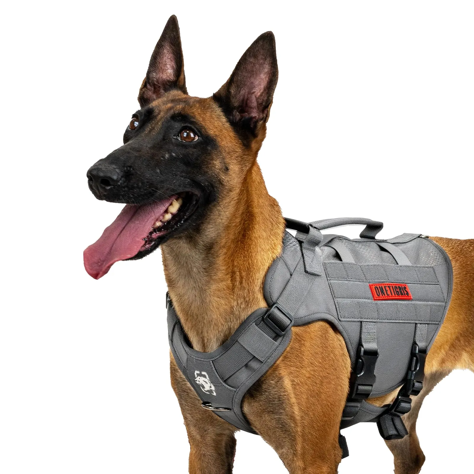 OneTigris Imbracatura No-Pull per Cani, Air Mesh, Regolabile, Taglia L - immagine 1
