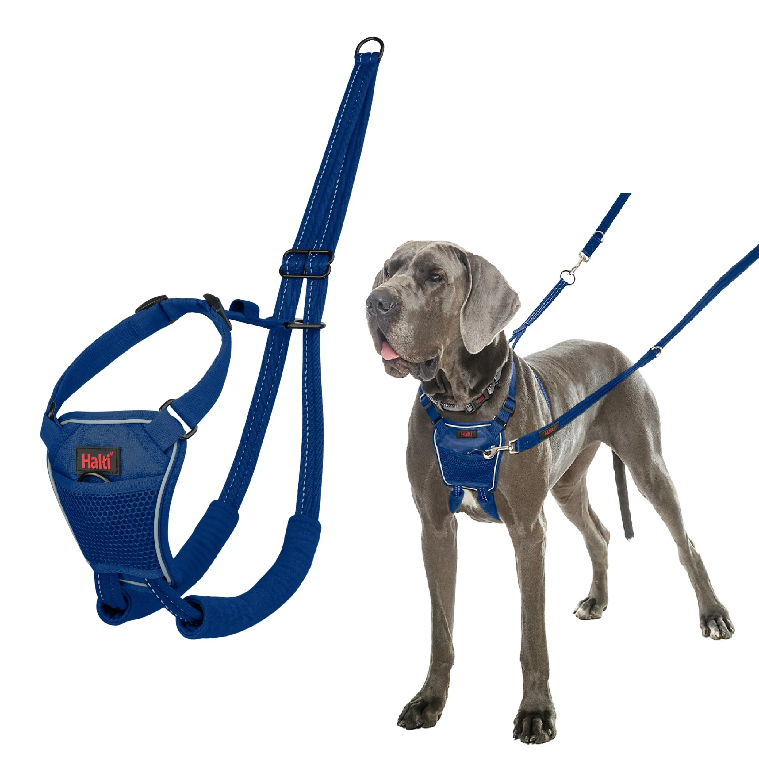 Halti Pettorina Anti-trazione per Cani, Taglia L, Blu Cobalto - immagine 1