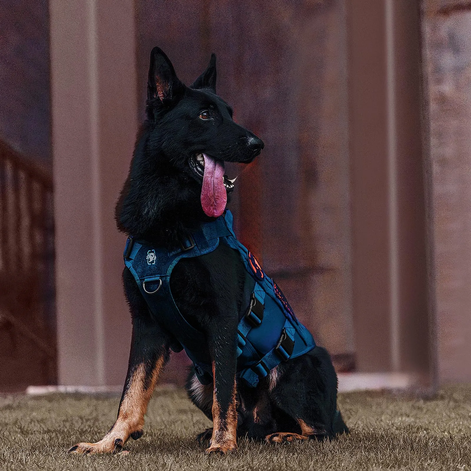 OneTigris Pettorina Tattica Anti-tiro in Aire Mesh per Cani, Regolabile con 2 Maniglie, Blu, L - immagine 8