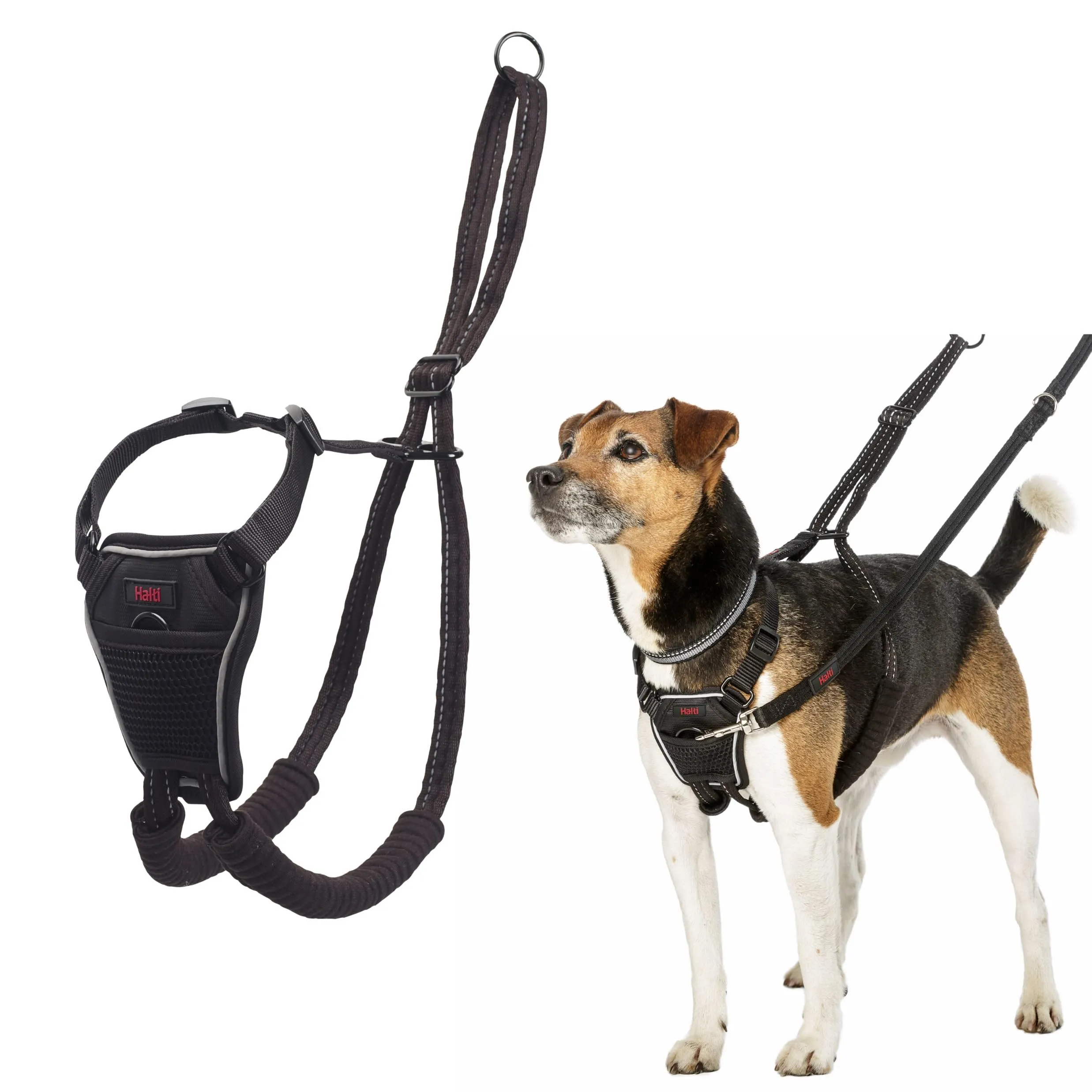 Halti Pettorina anti-trazione per cani, Taglia XS, Nero - immagine 1