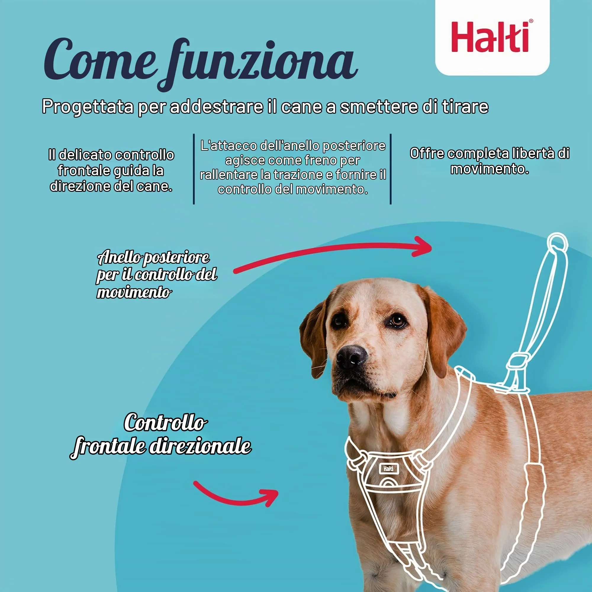 Halti Pettorina anti-trazione per cani, Taglia XS, Nero - immagine 2