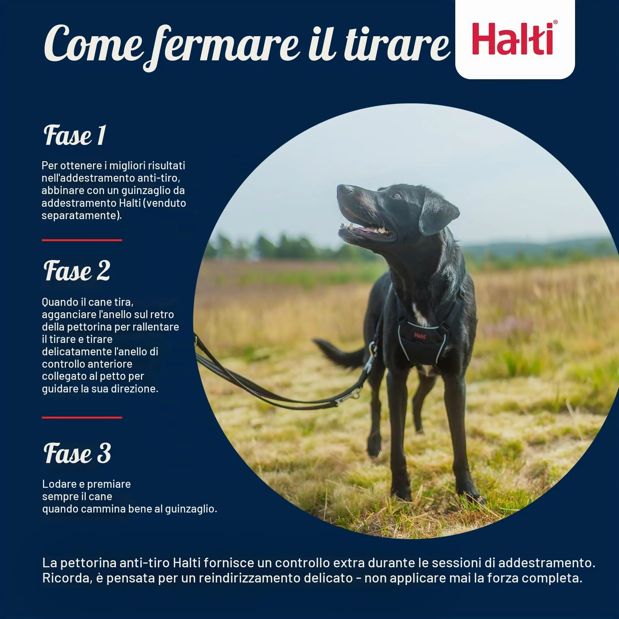 Halti Pettorina anti-trazione per cani, Taglia XS, Nero - immagine 4