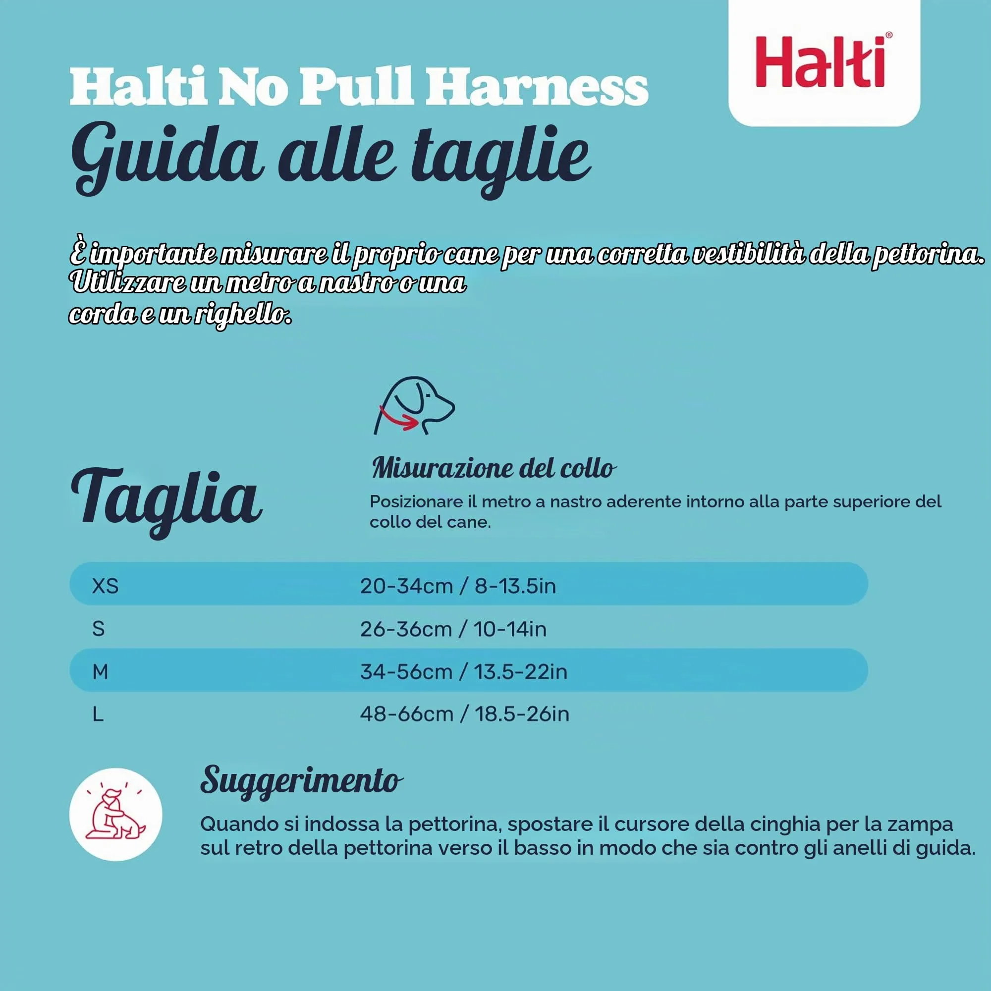 Halti Pettorina anti-trazione per cani, Taglia XS, Nero - immagine 5
