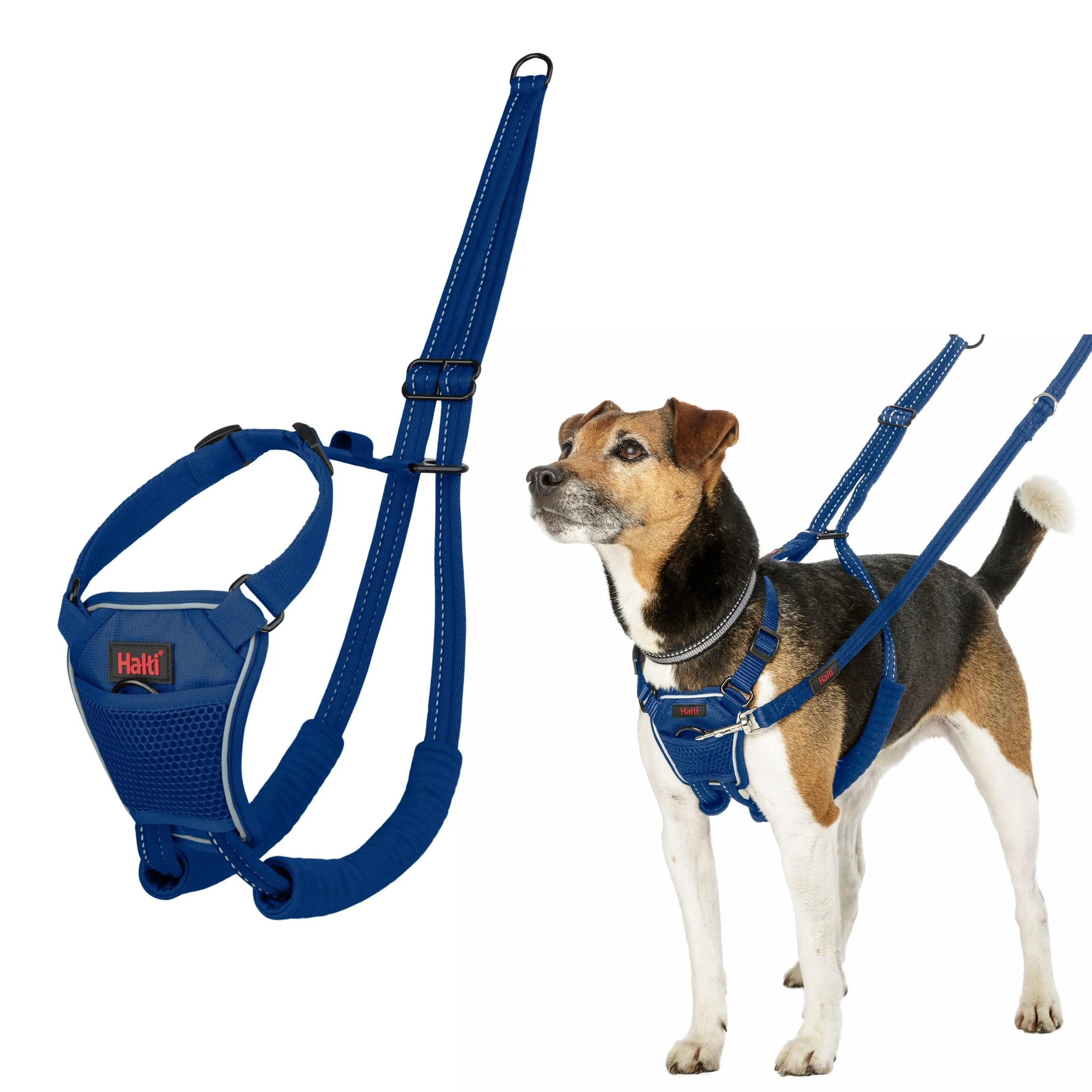 Pettorina anti-trazione Halti, Taglia S, Blu Cobalto - immagine 1