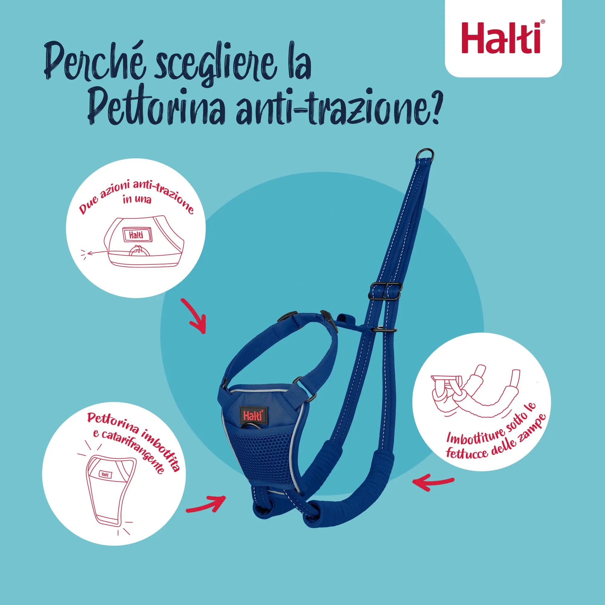Pettorina anti-trazione Halti, Taglia S, Blu Cobalto - immagine 3