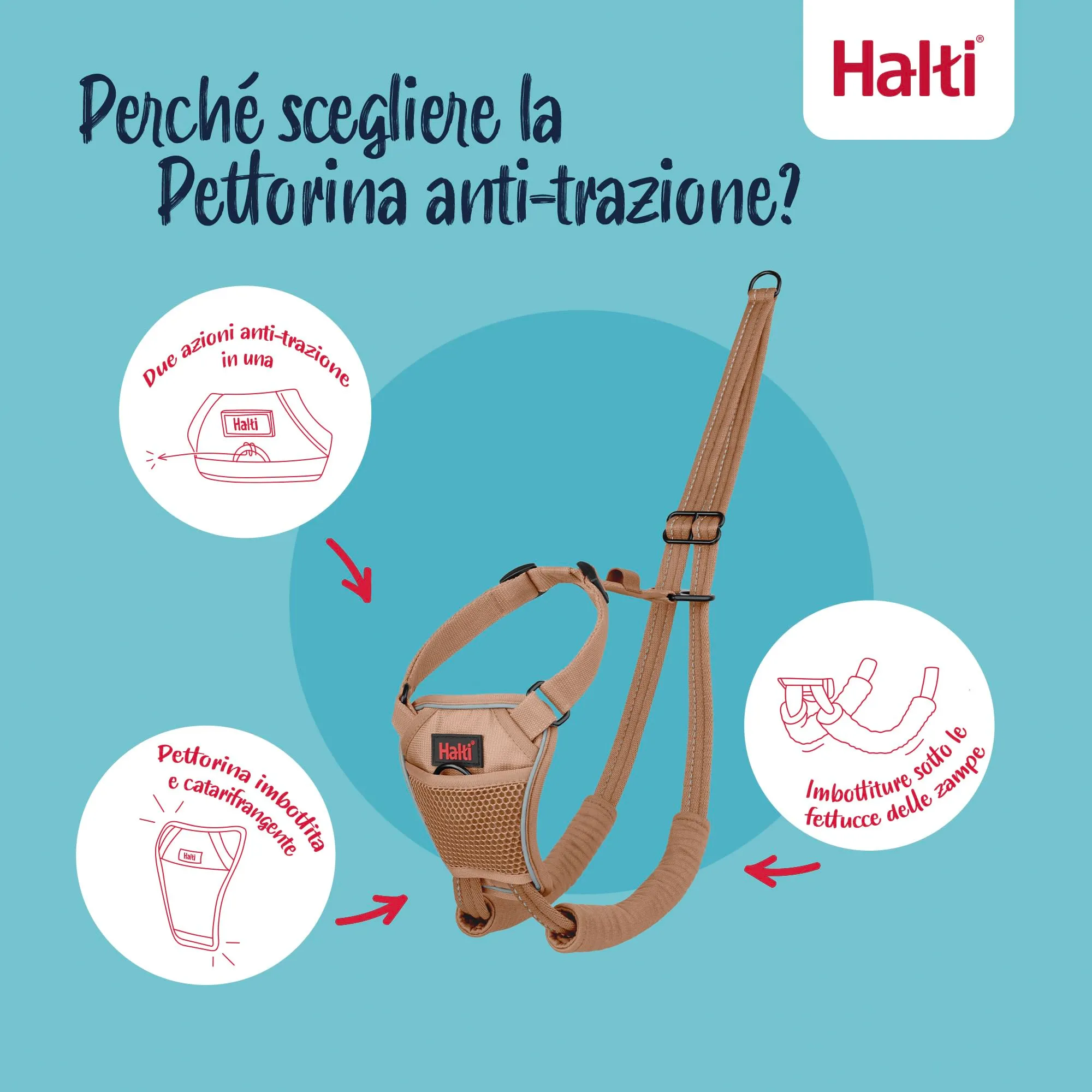 Halti Pettorina Anti-trazione per Cani, Taglia XS, Sabbia del Deserto - immagine 3