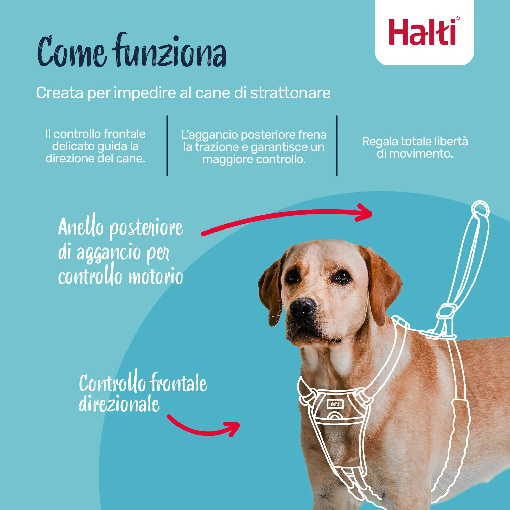 Halti Pettorina anti-trazione per cani, Taglia L, Noce Intenso - immagine 2