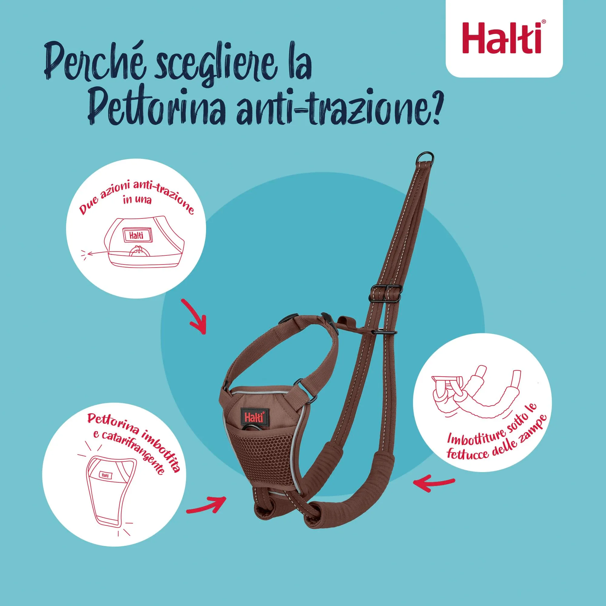 Halti Pettorina anti-trazione per cani, Taglia L, Noce Intenso - immagine 3