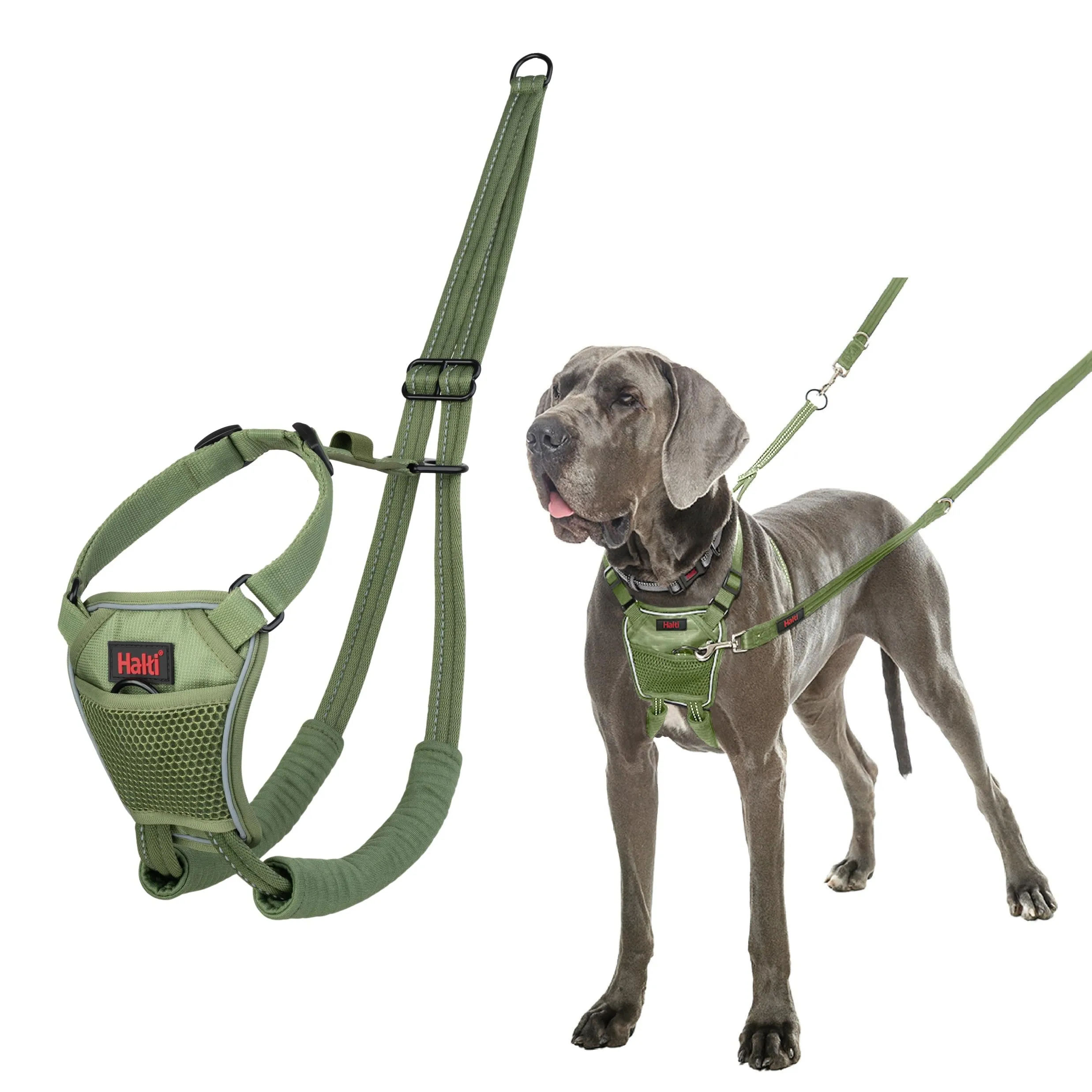 Halti Pettorina Anti-Trazione per Cani, Taglia L, Verde Foresta - immagine 1