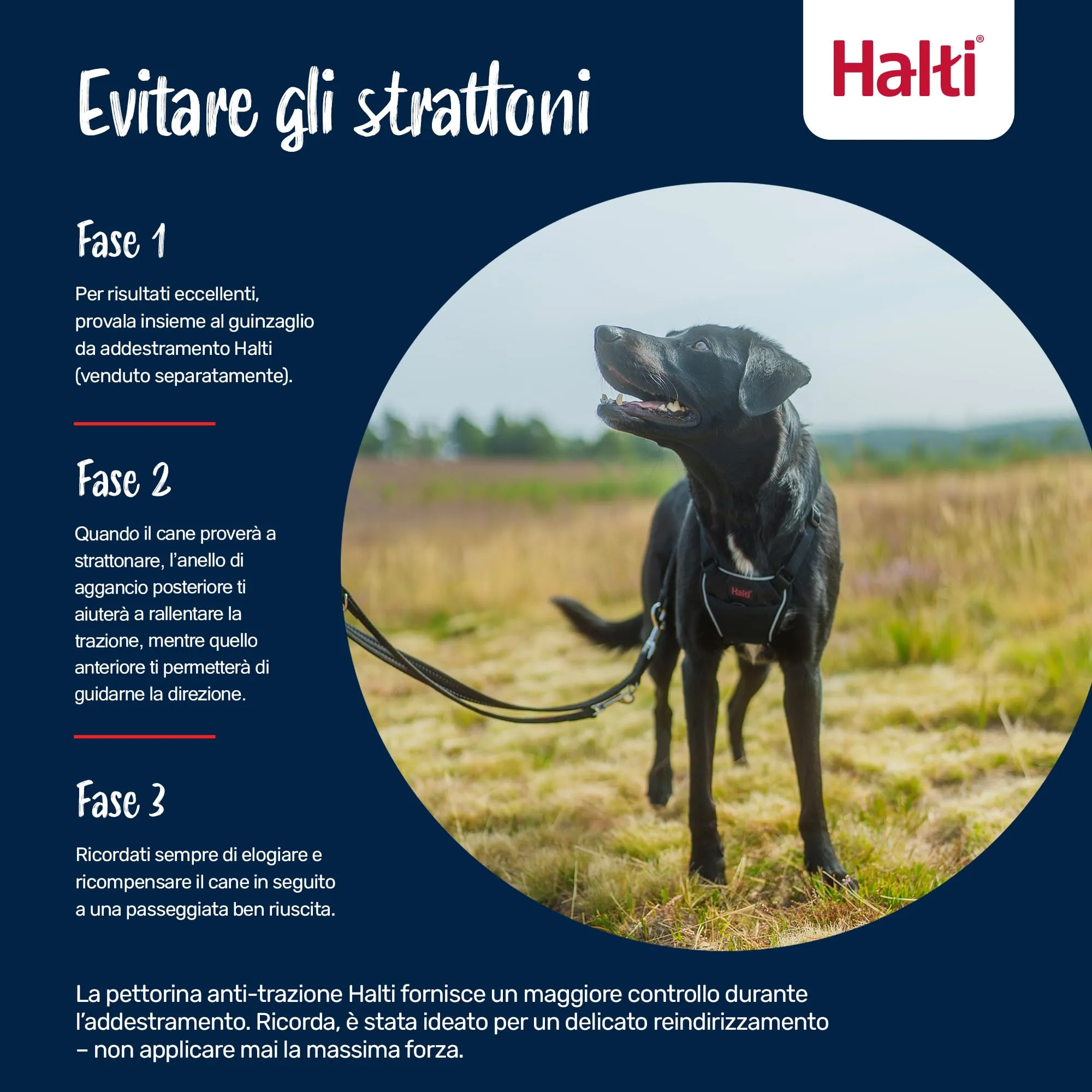 Pettorina anti-trazione Halti, Taglia L, Arancia Bruciata - immagine 4