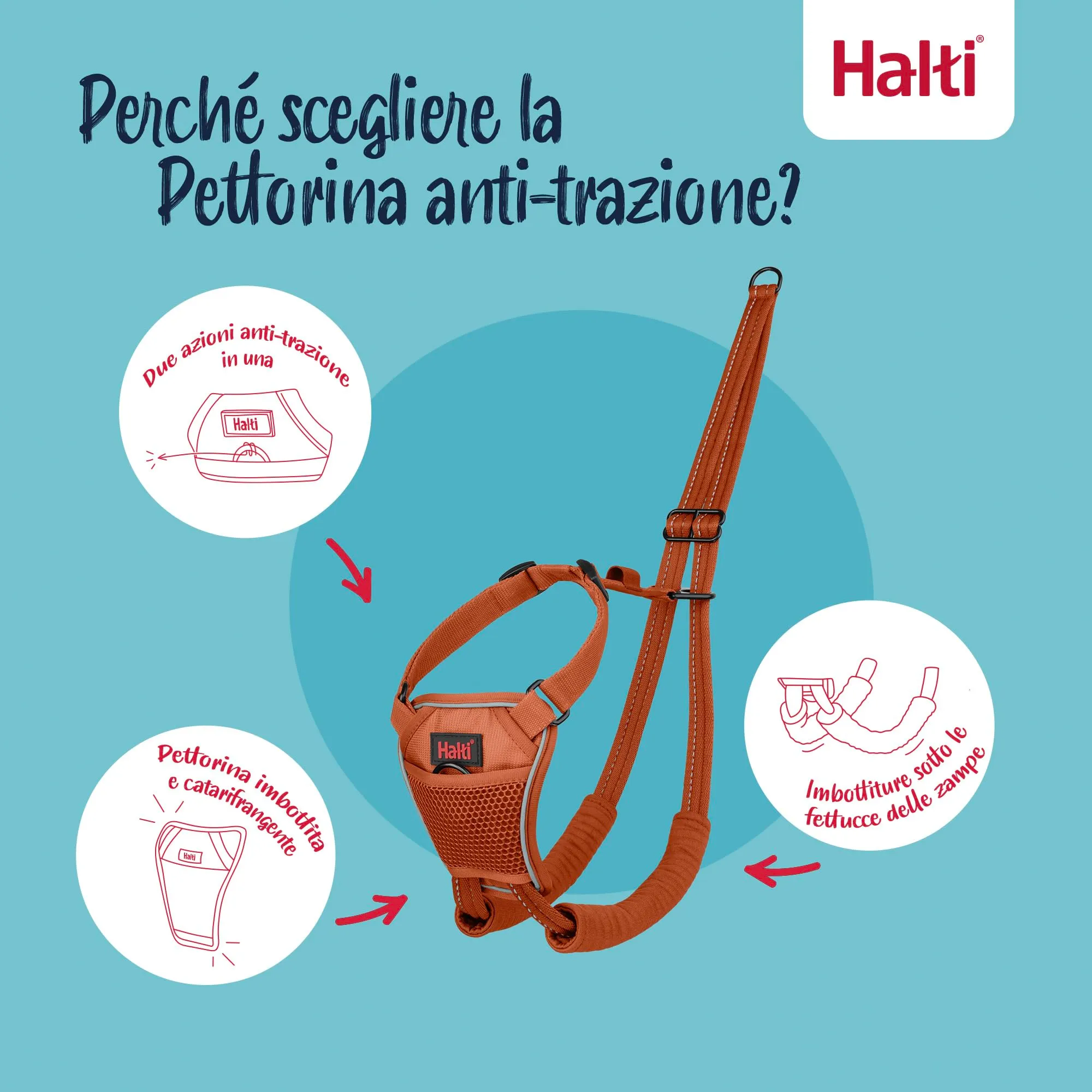 Pettorina anti-trazione Halti, Taglia S, Arancia Bruciata - immagine 3