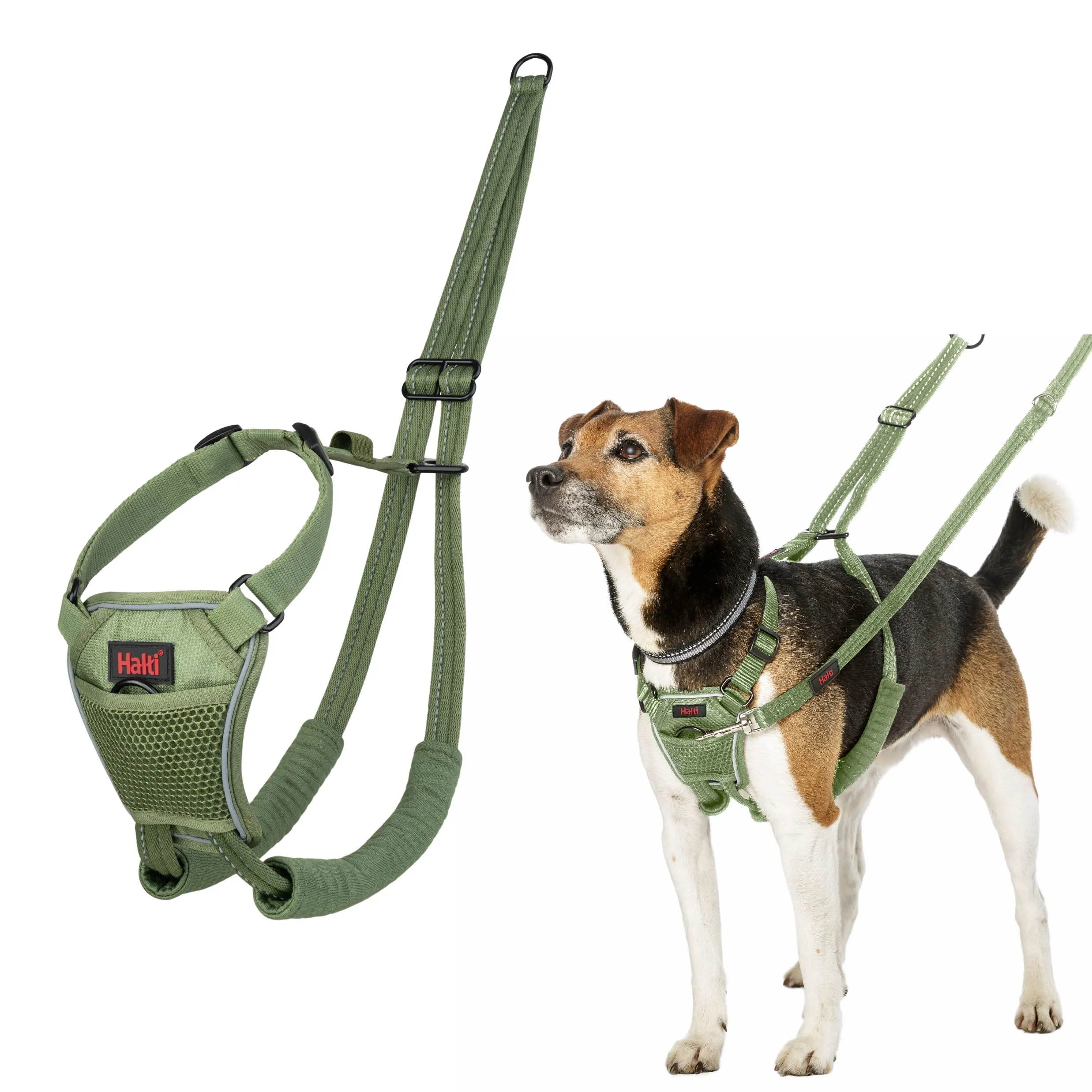 Halti Pettorina Anti-trazione per Cani, Taglia XS, Verde Foresta - immagine 1