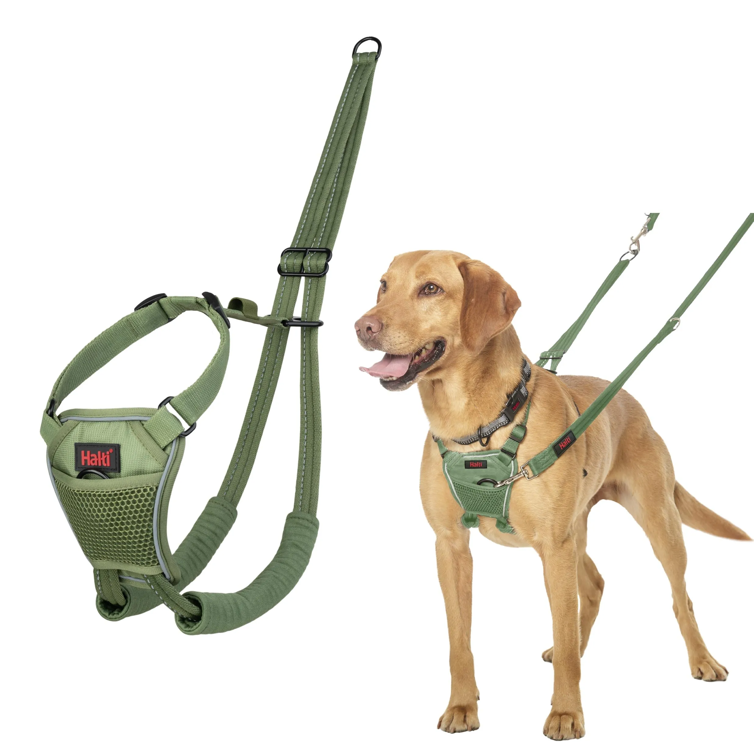Halti Pettorina anti-trazione per cani, Taglia M, Verde Foresta - immagine 1