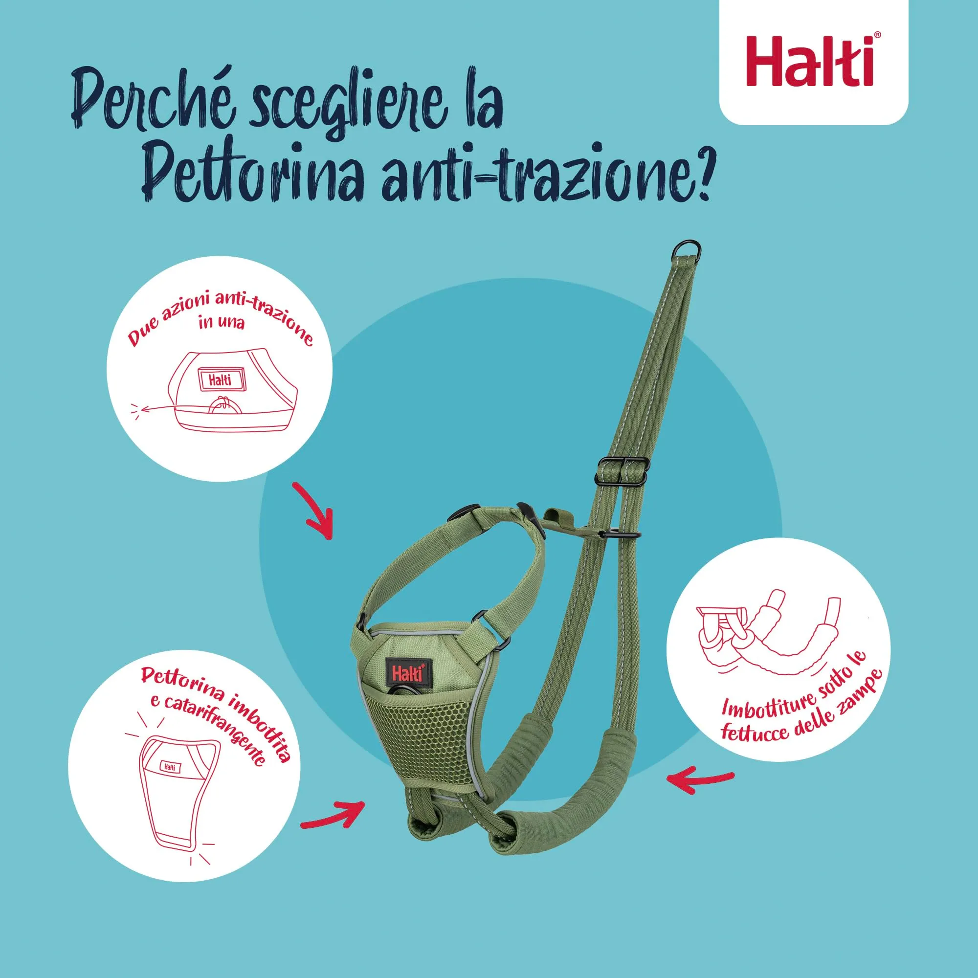 Halti Pettorina anti-trazione per cani, Taglia M, Verde Foresta - immagine 3